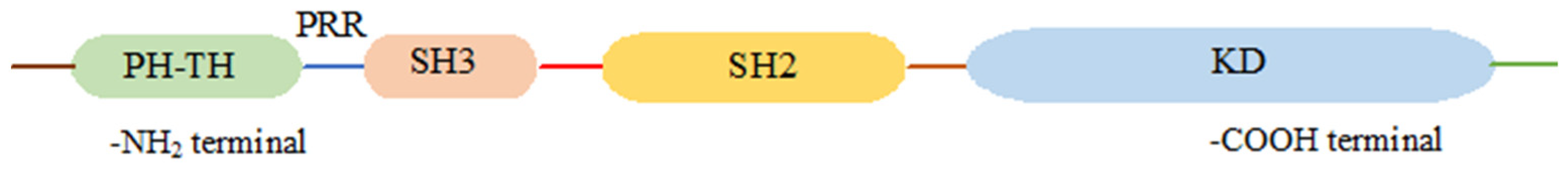 Pharmaceuticals 16 00400 g001 Pharmaceuticals 16 00400 g001