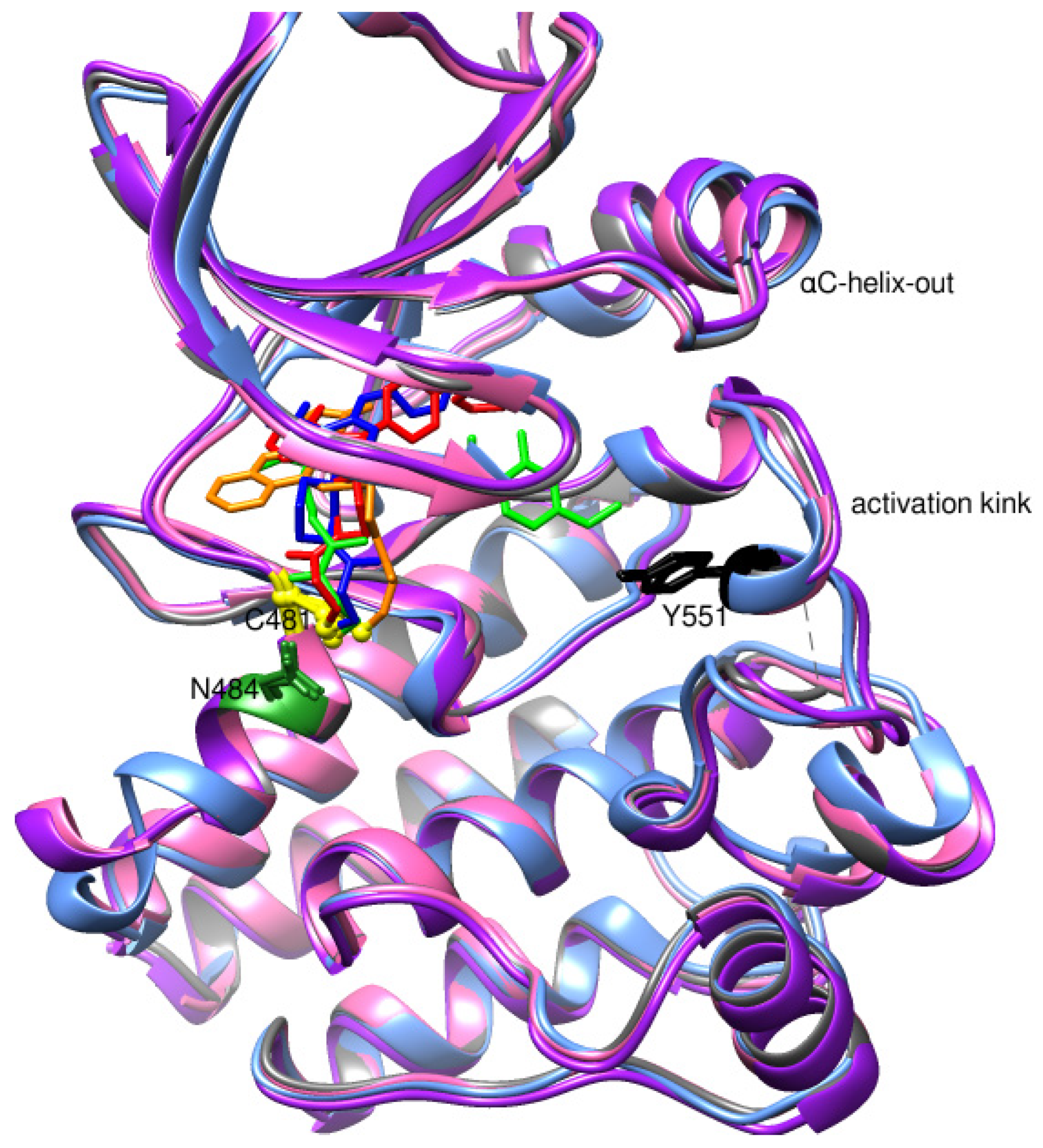 Pharmaceuticals 16 00400 g007 Pharmaceuticals 16 00400 g007