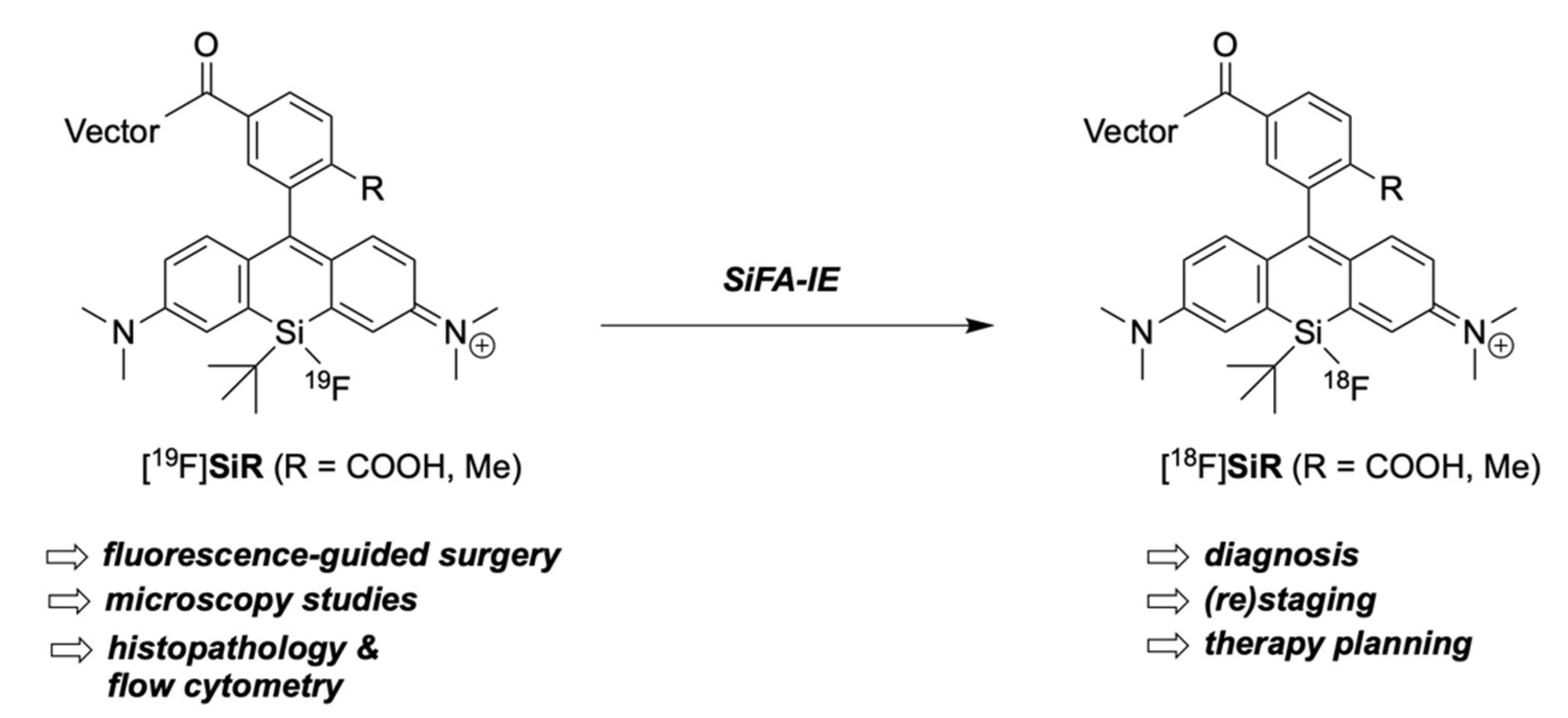 Pharmaceuticals 16 00401 g002 Pharmaceuticals 16 00401 g002
