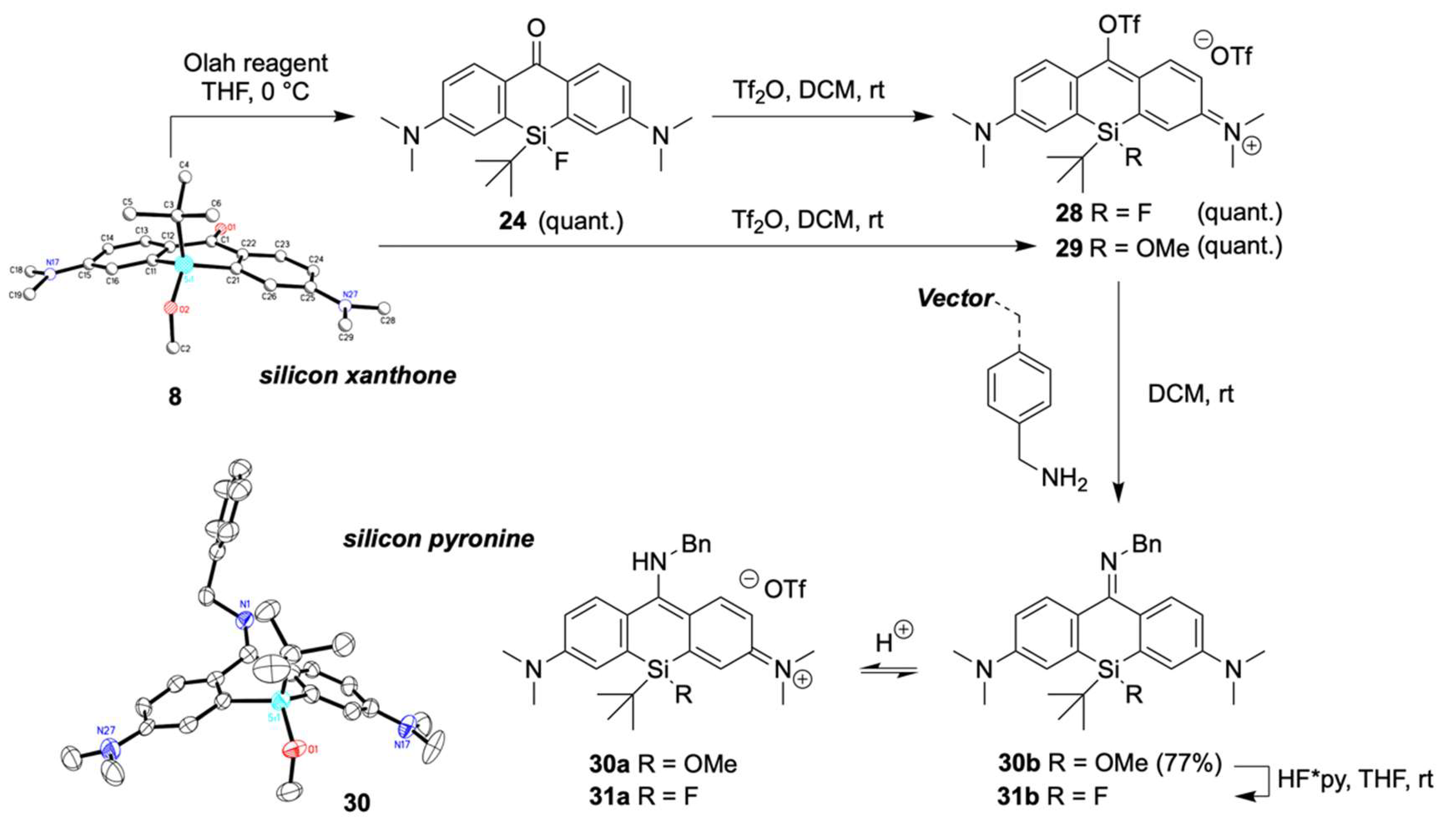 Pharmaceuticals 16 00401 g006 Pharmaceuticals 16 00401 g006