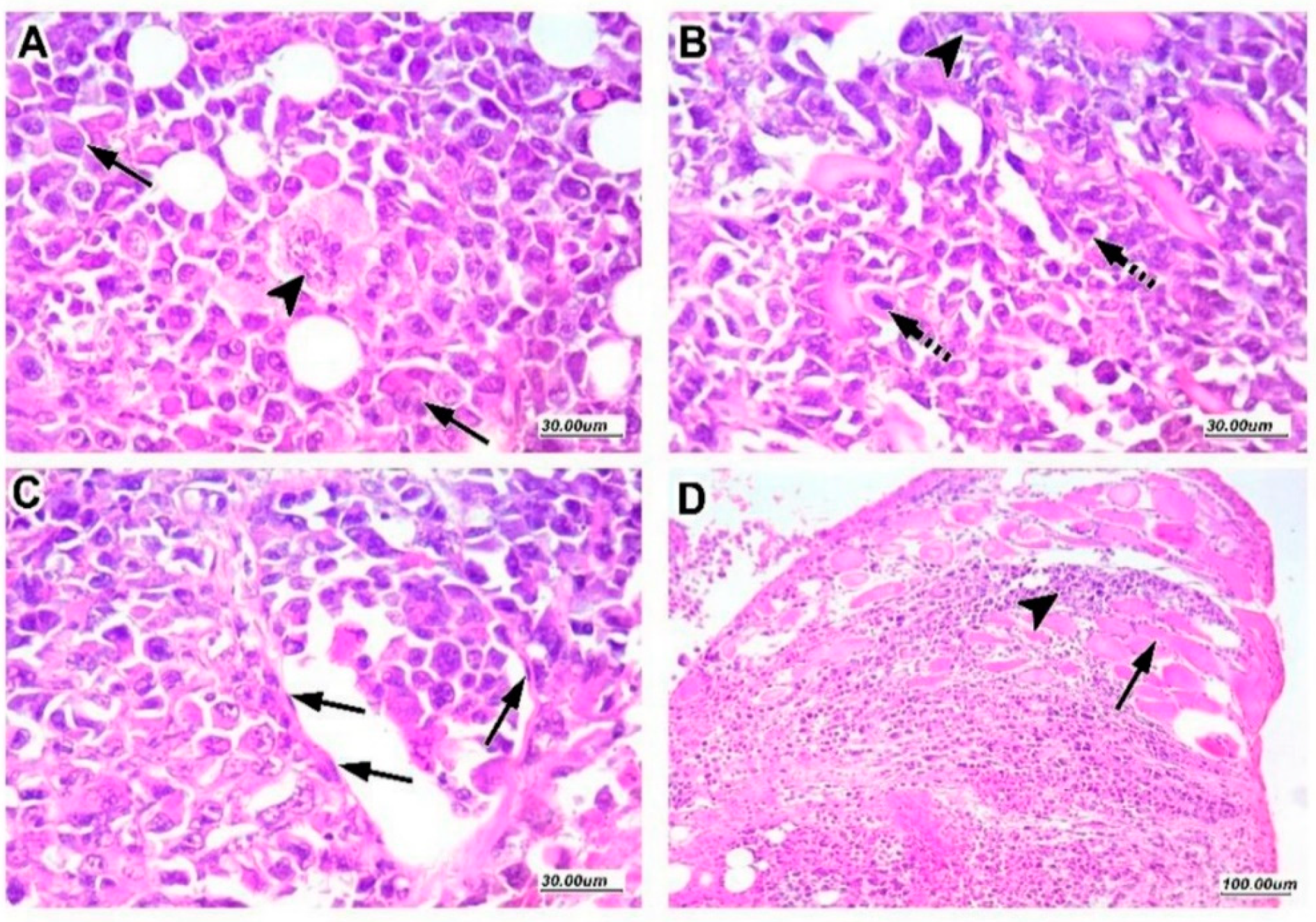 Pharmaceuticals 16 00405 g004
