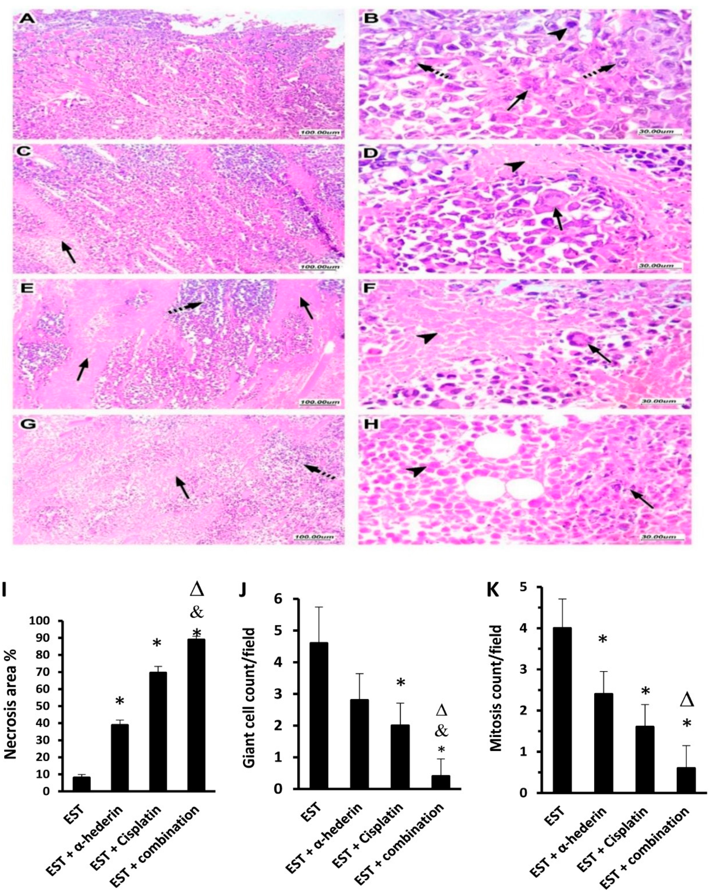 Pharmaceuticals 16 00405 g005
