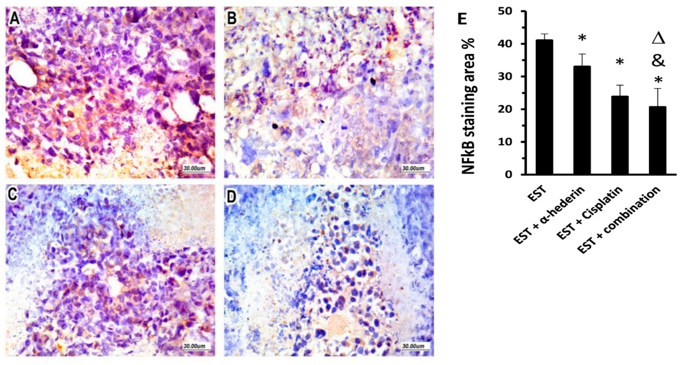 Pharmaceuticals 16 00405 g006