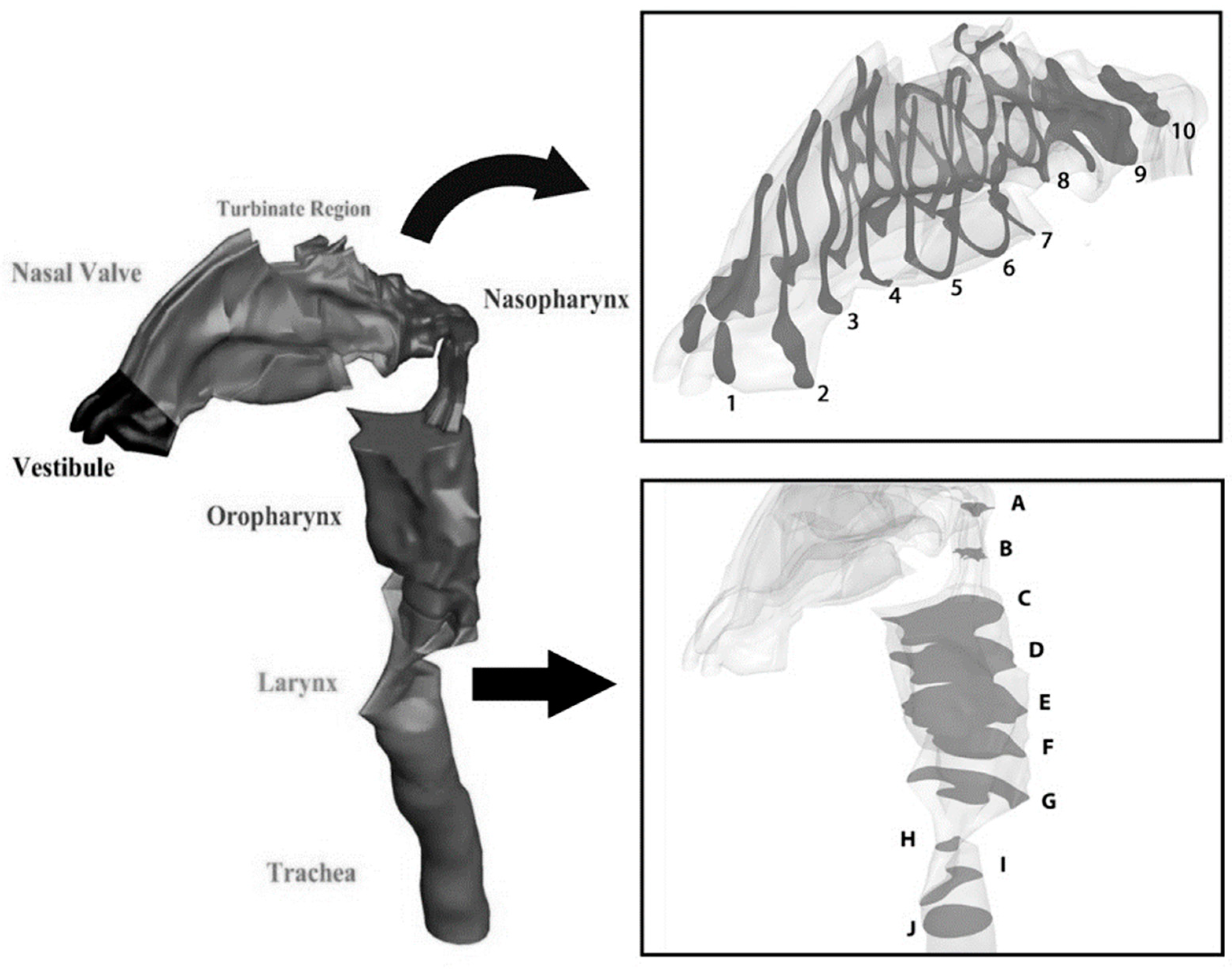 Pharmaceuticals 16 00406 g002