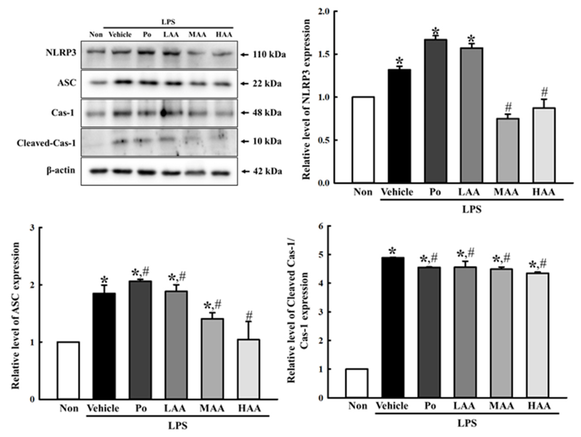 Pharmaceuticals 16 00407 g006 Pharmaceuticals 16 00407 g006
