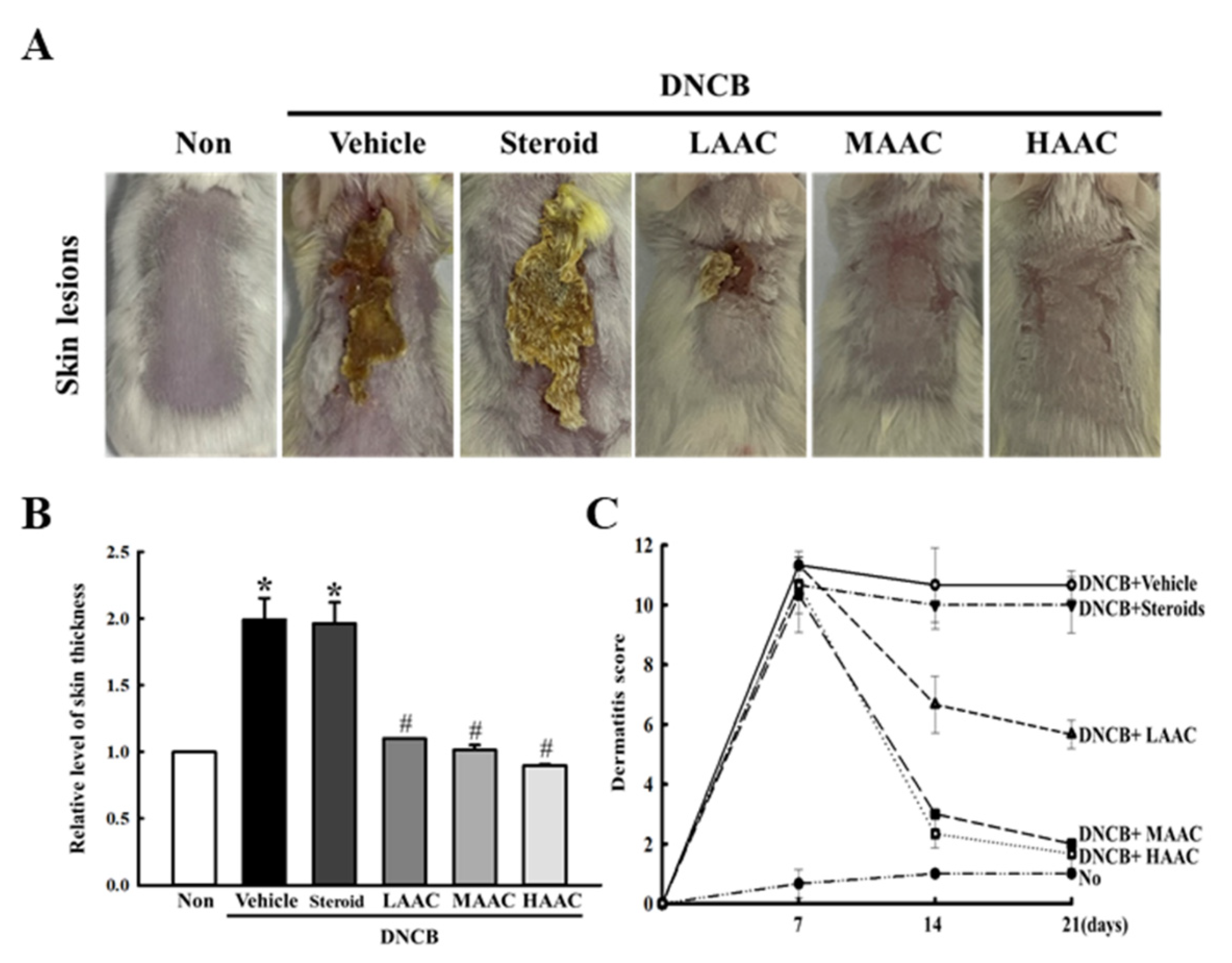 Pharmaceuticals 16 00407 g007 Pharmaceuticals 16 00407 g007
