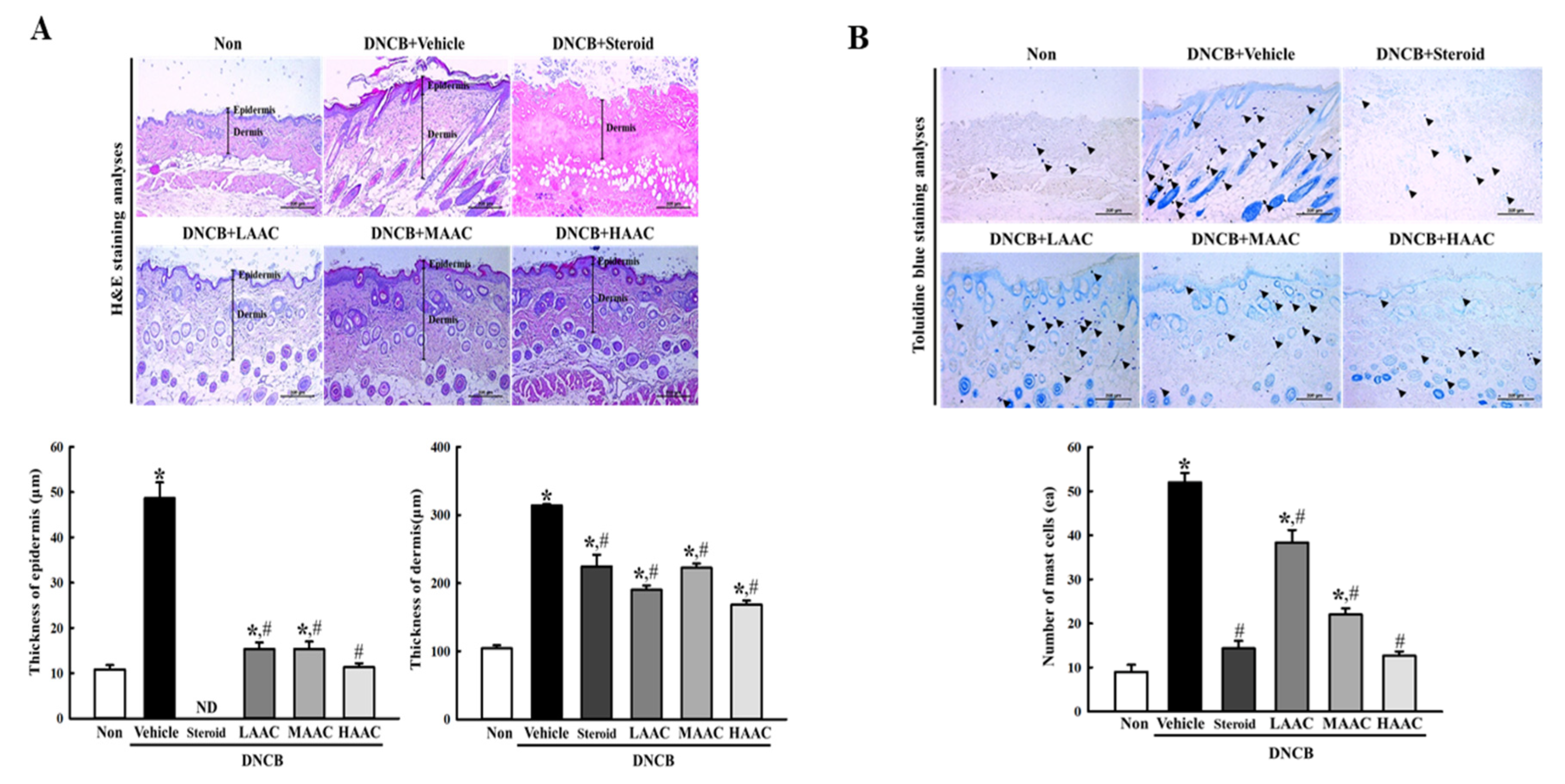 Pharmaceuticals 16 00407 g009 Pharmaceuticals 16 00407 g009