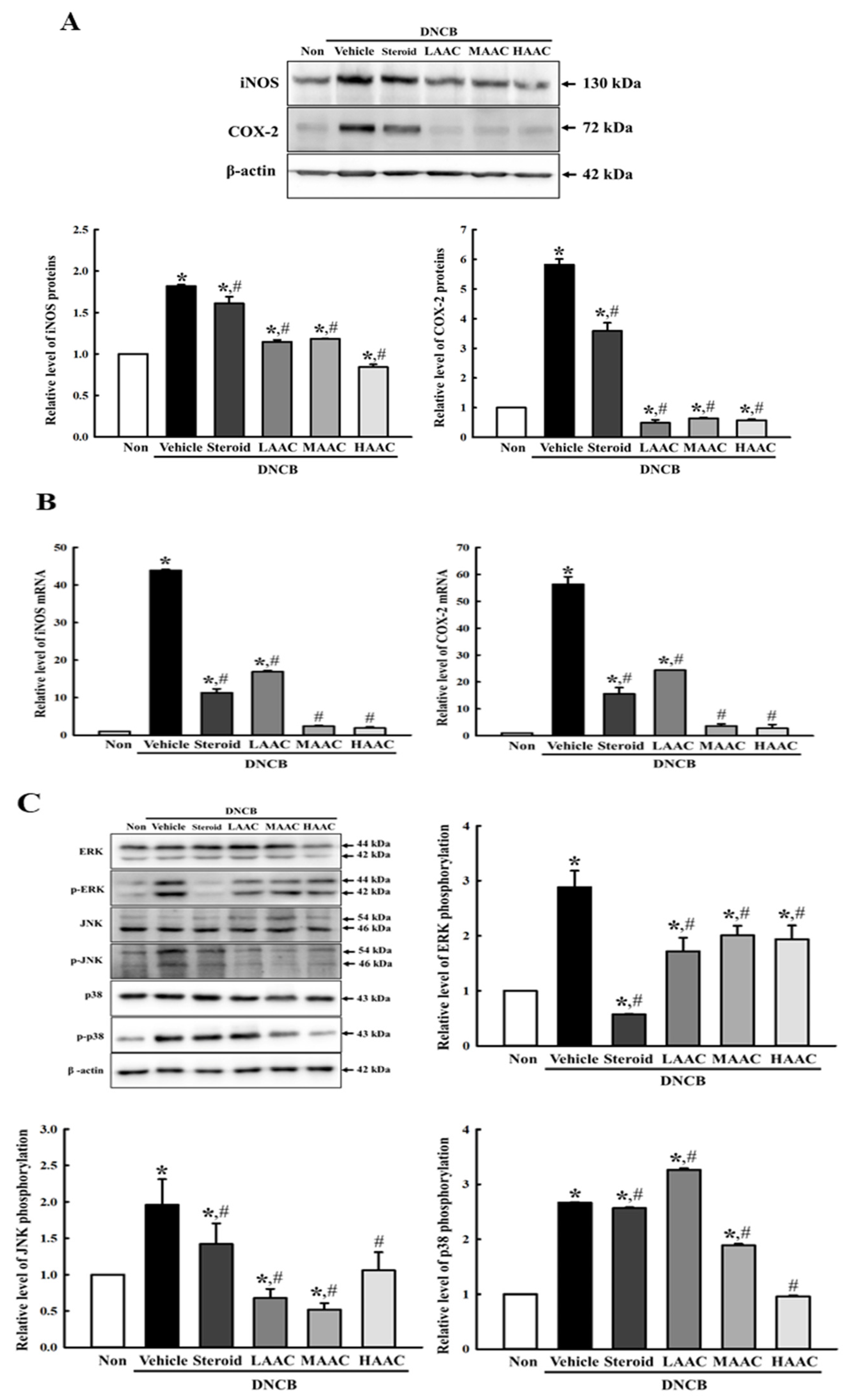 Pharmaceuticals 16 00407 g010 Pharmaceuticals 16 00407 g010