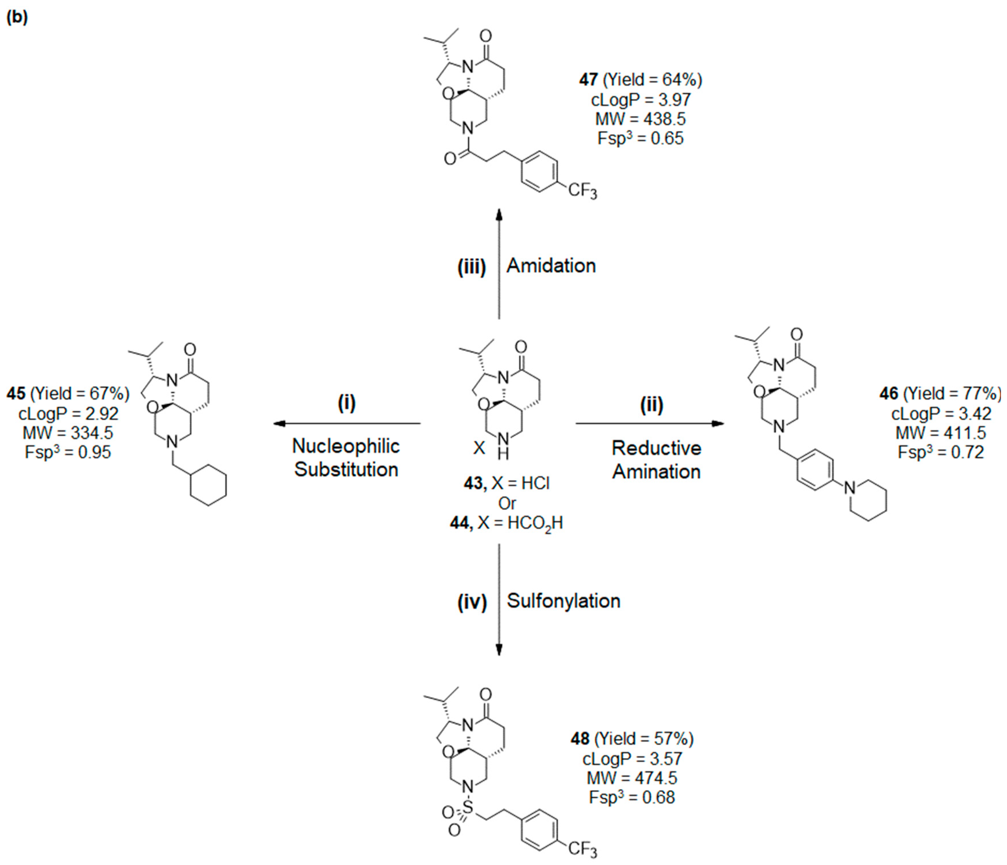 Pharmaceuticals 16 00413 sch006b Pharmaceuticals 16 00413 sch006b