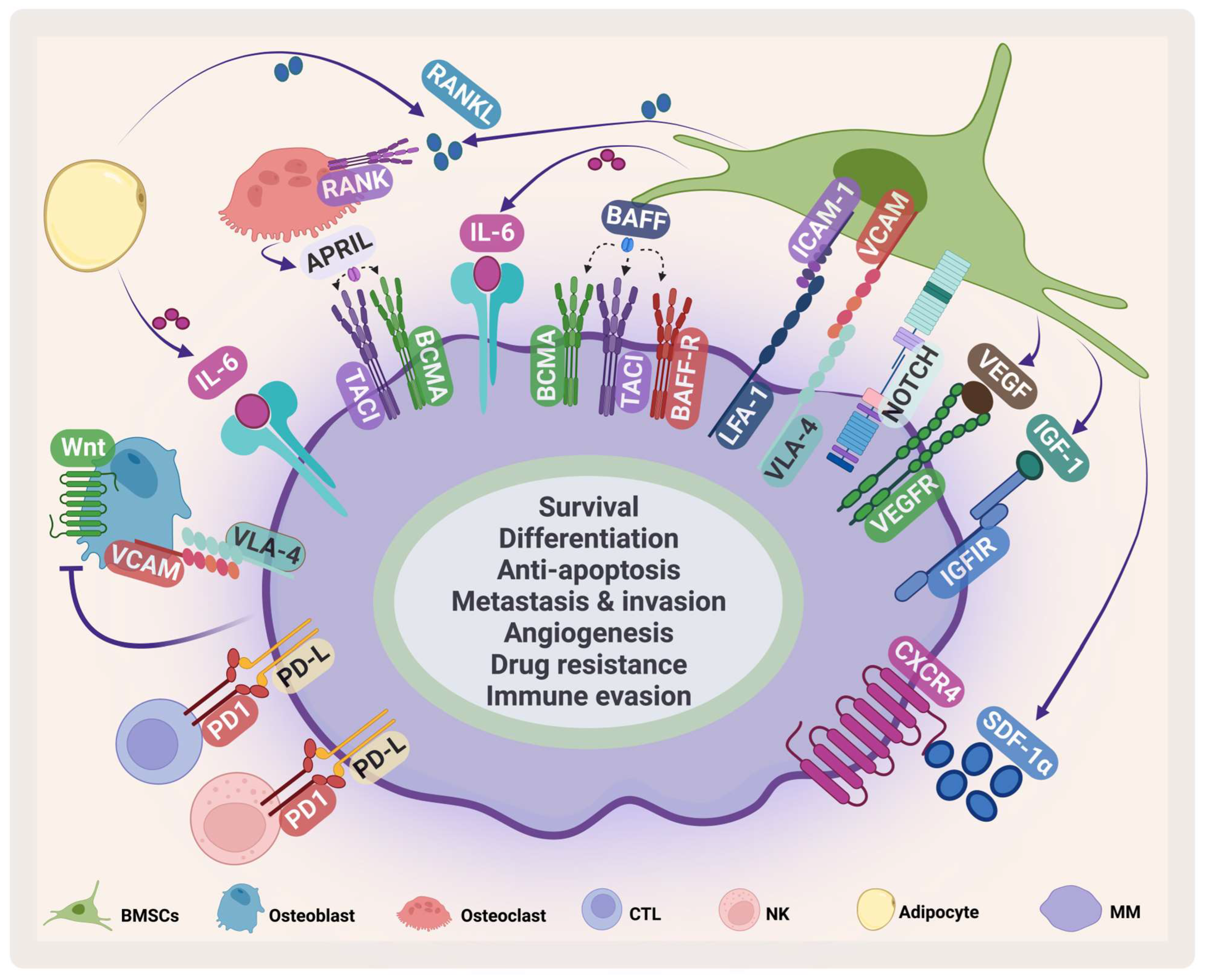 Pharmaceuticals 16 00415 g002