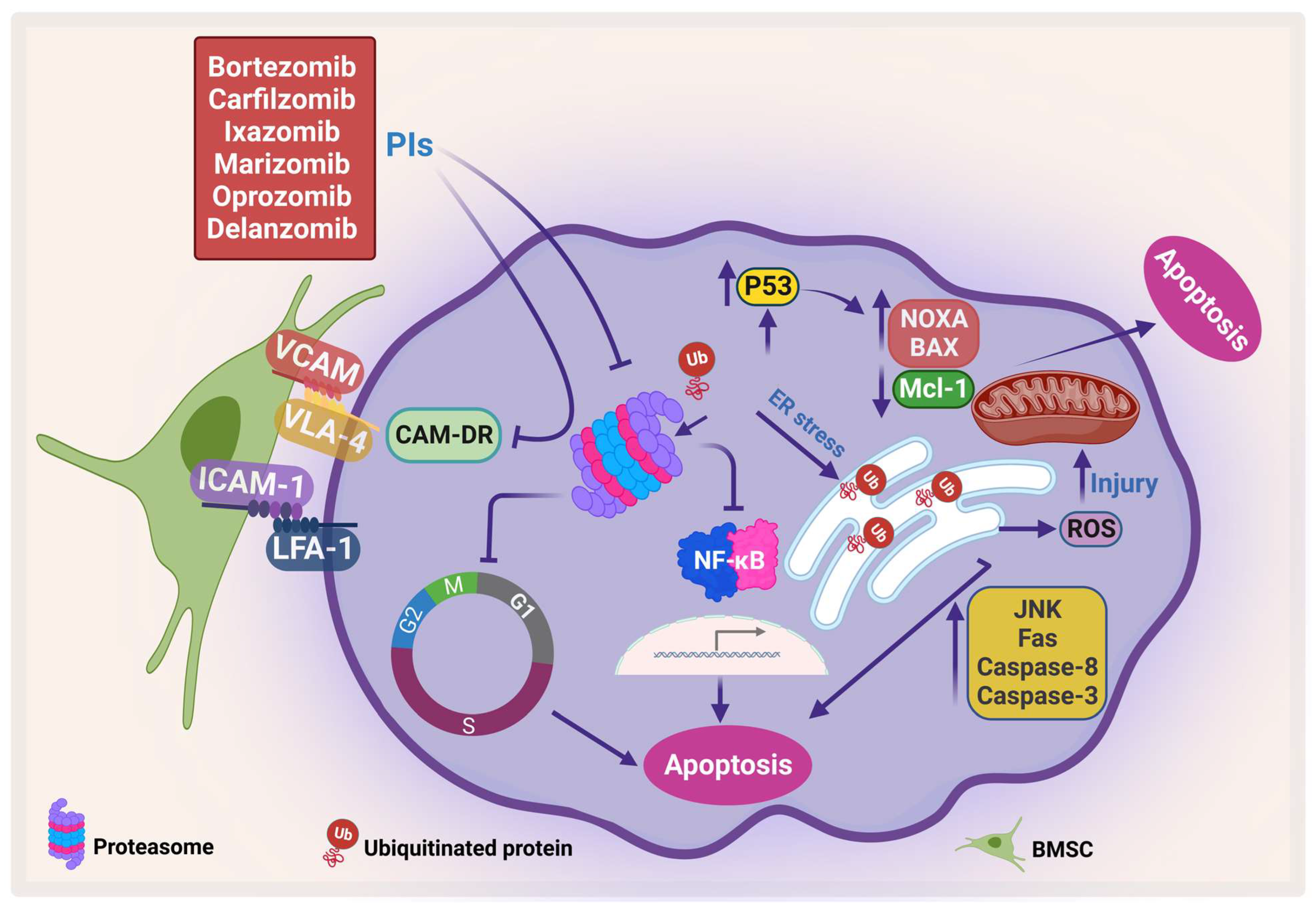 Pharmaceuticals 16 00415 g003