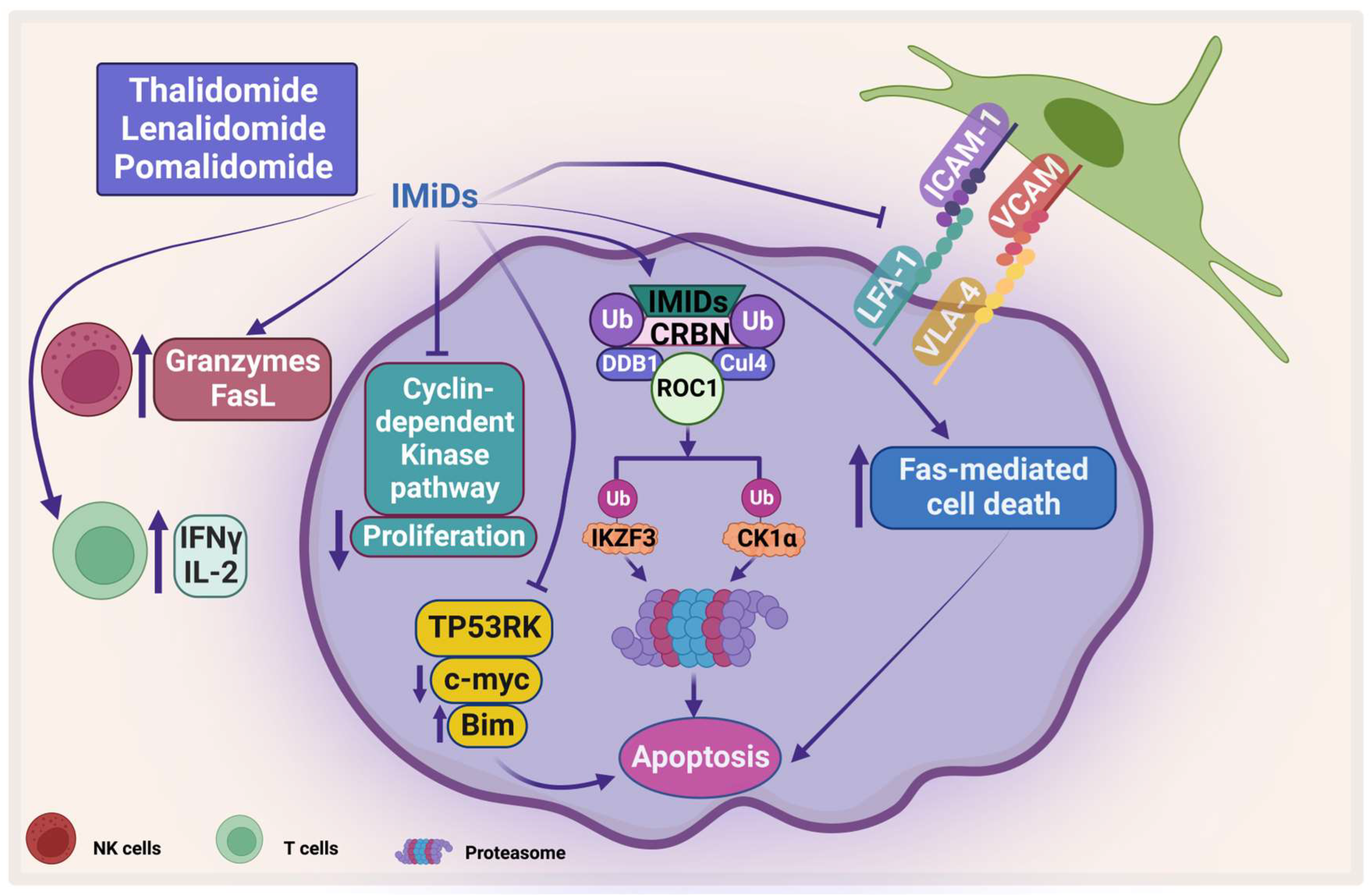 Pharmaceuticals 16 00415 g004