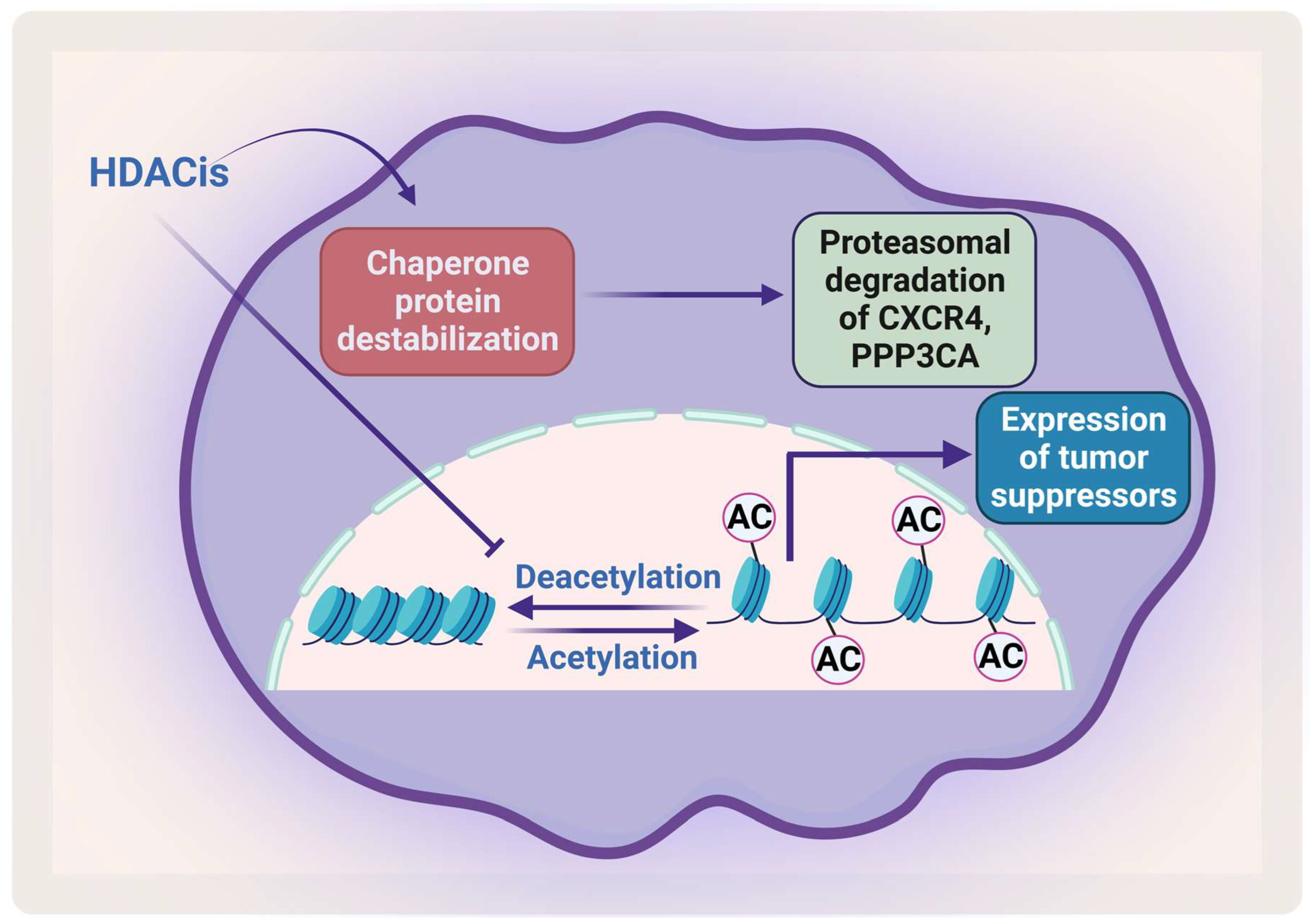 Pharmaceuticals 16 00415 g005