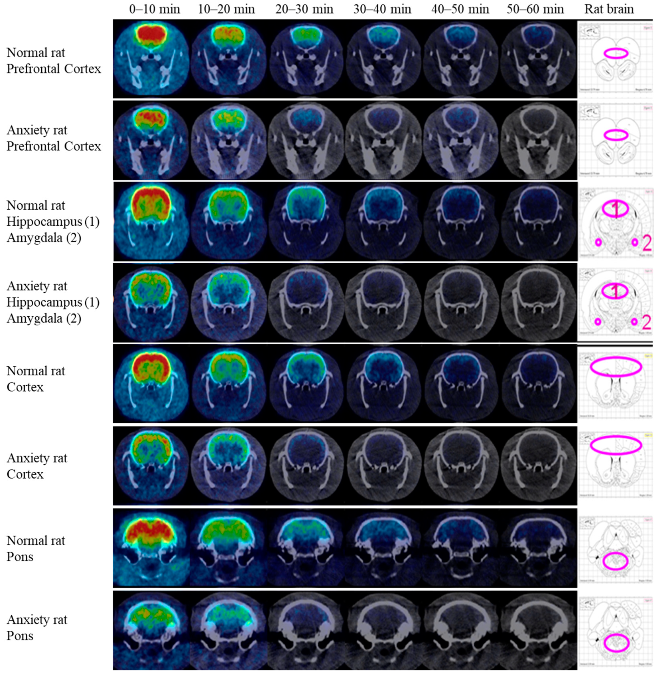 Pharmaceuticals 16 00417 g004