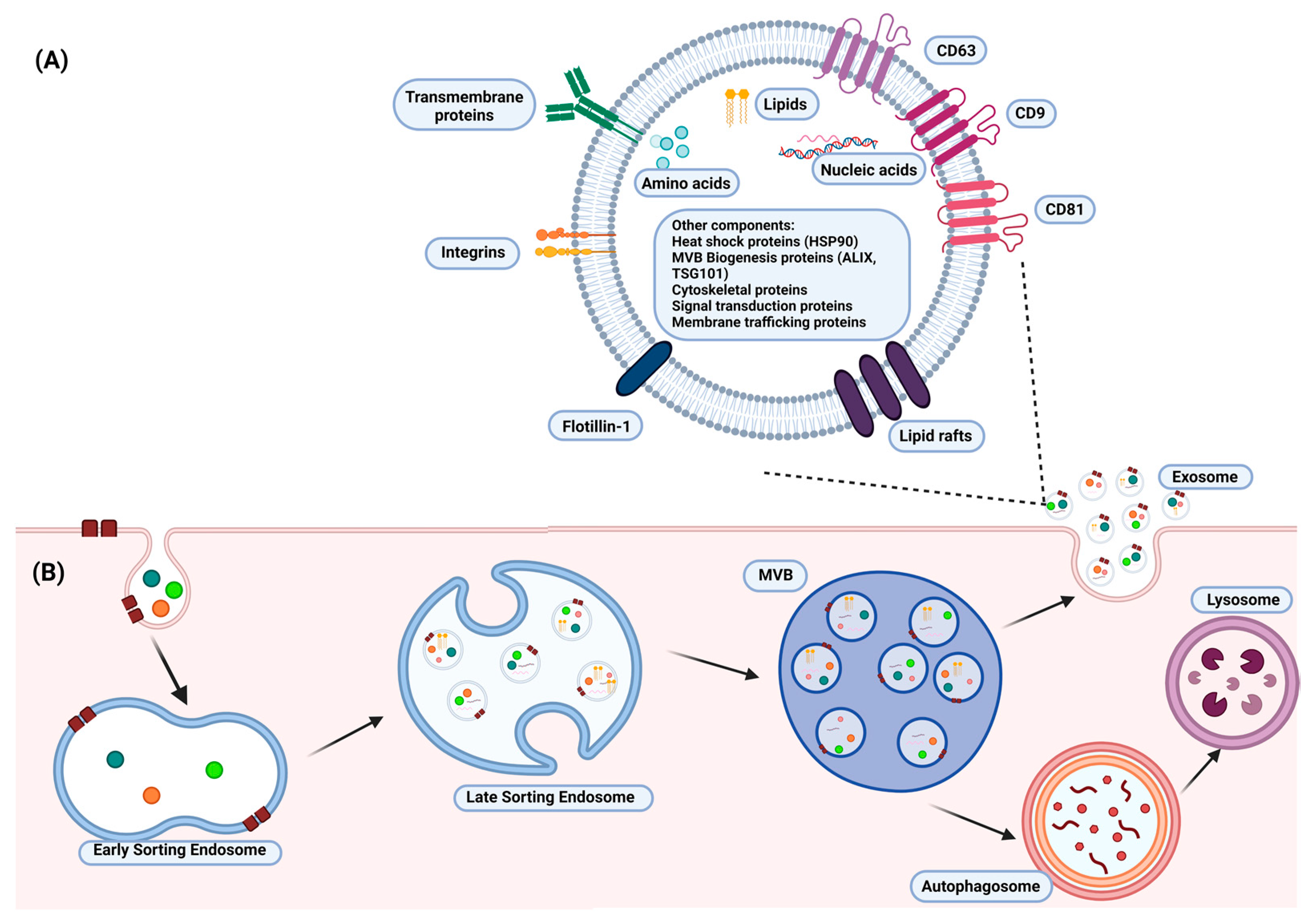 Pharmaceuticals 16 00421 g001