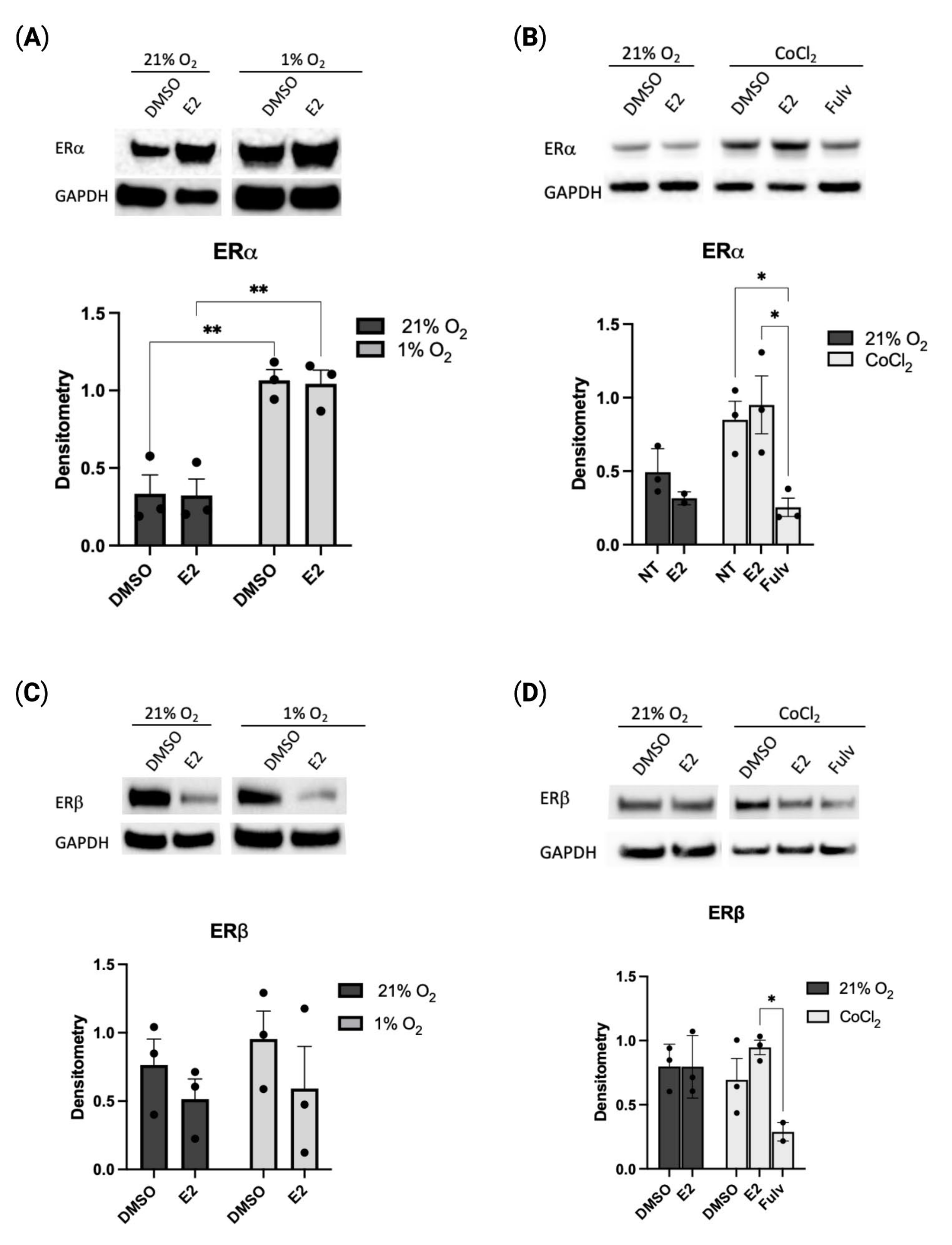 Pharmaceuticals 16 00422 g001 Pharmaceuticals 16 00422 g001