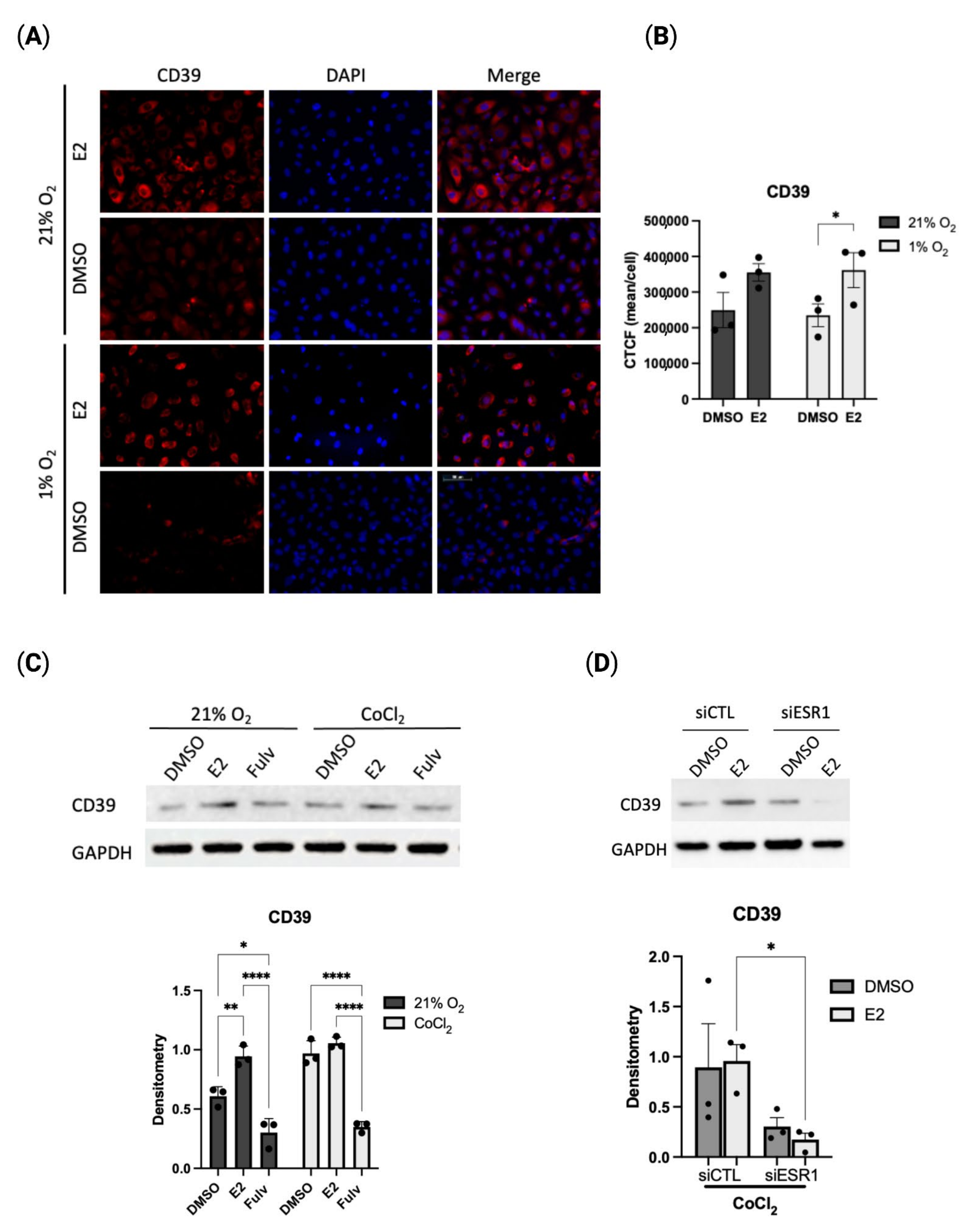 Pharmaceuticals 16 00422 g002 Pharmaceuticals 16 00422 g002