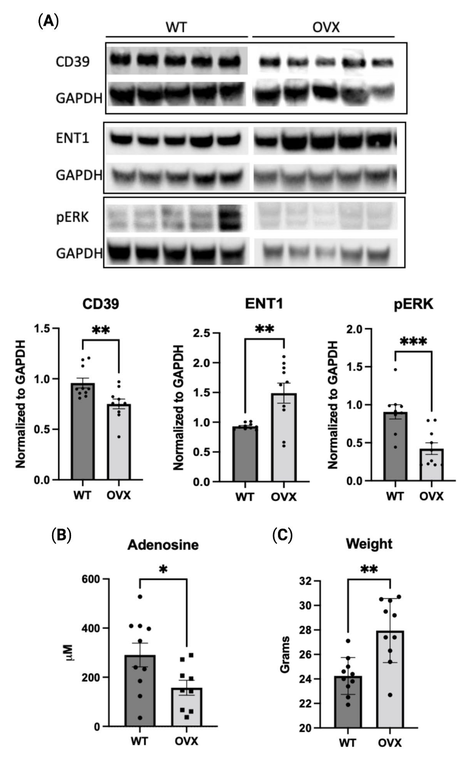 Pharmaceuticals 16 00422 g005 Pharmaceuticals 16 00422 g005