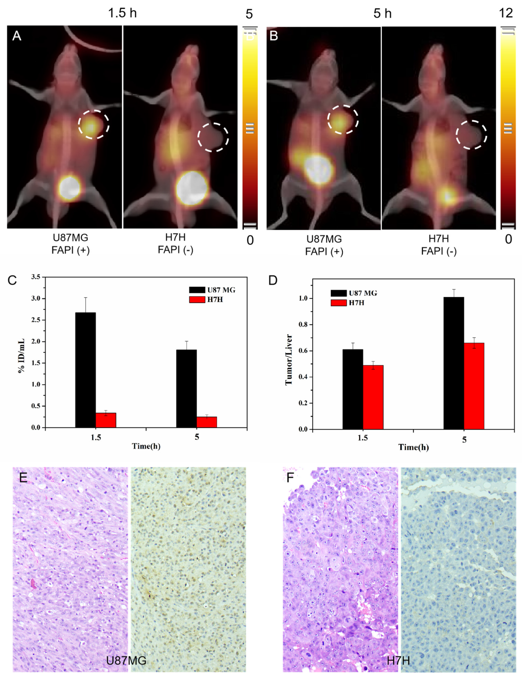 Pharmaceuticals 16 00423 g003 Pharmaceuticals 16 00423 g003