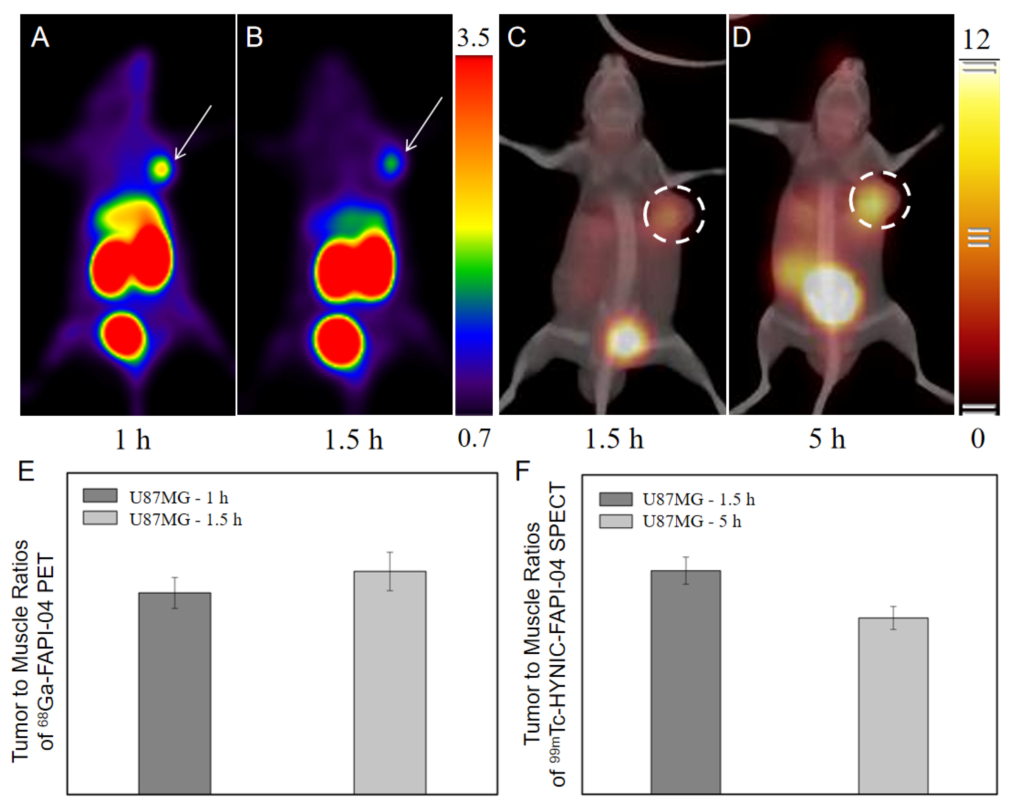 Pharmaceuticals 16 00423 g005 Pharmaceuticals 16 00423 g005