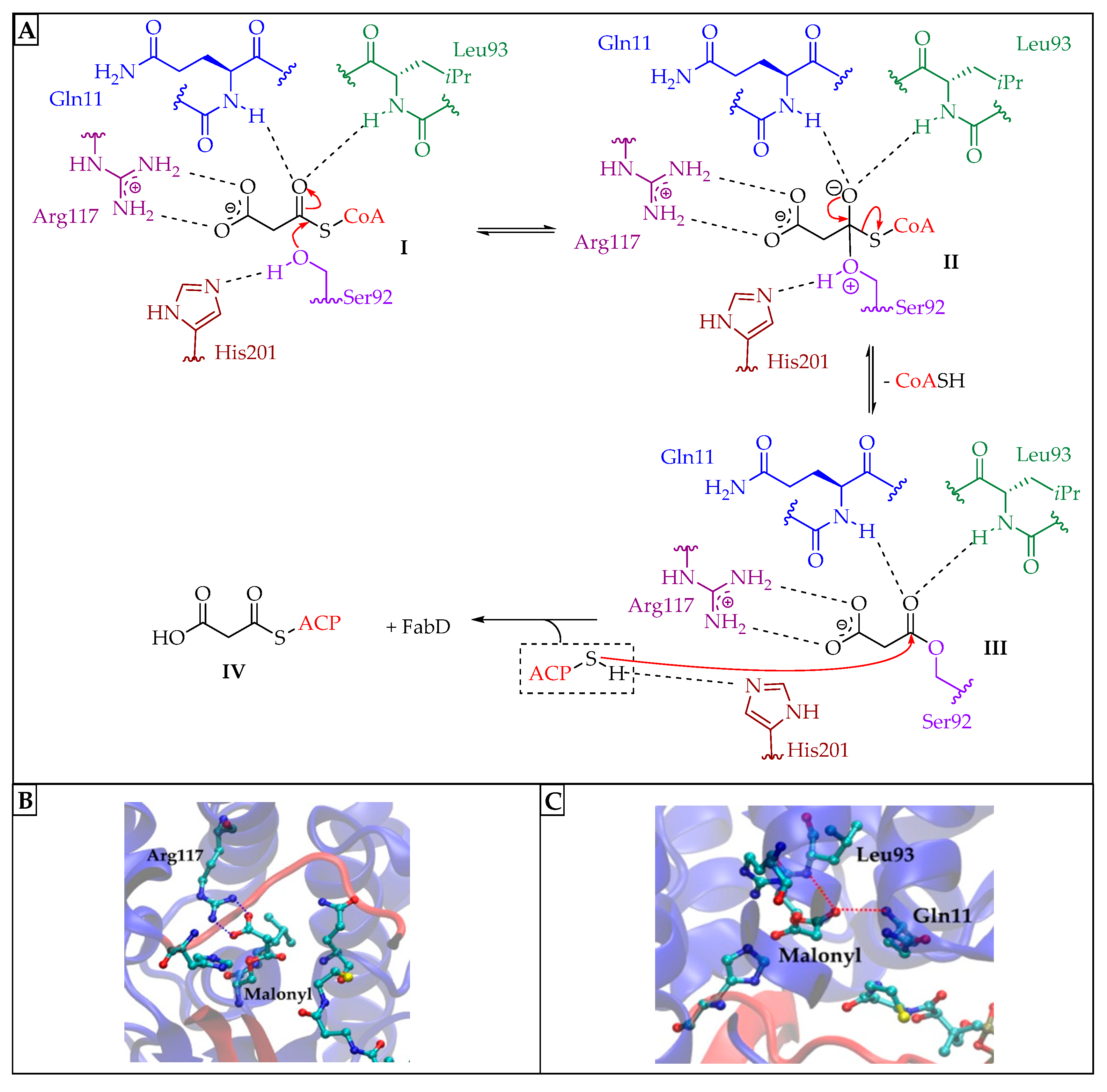 Pharmaceuticals 16 00425 g003 Pharmaceuticals 16 00425 g003