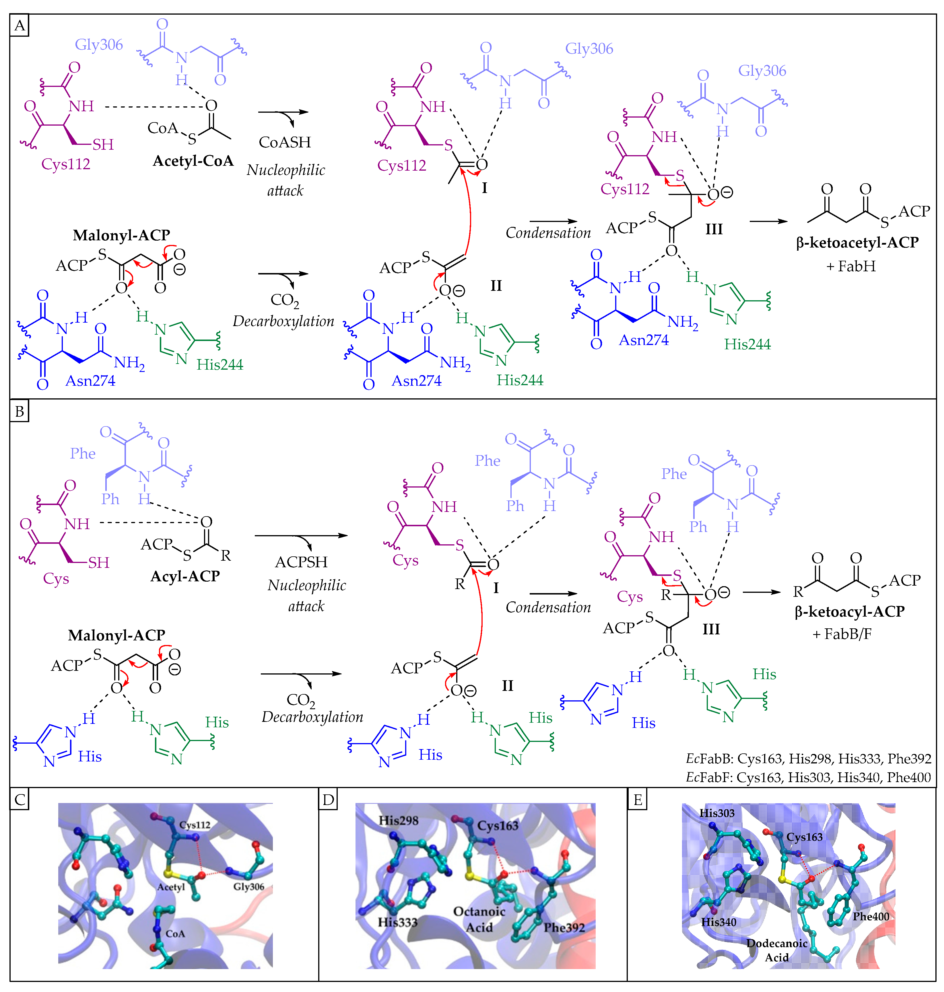 Pharmaceuticals 16 00425 g005 Pharmaceuticals 16 00425 g005