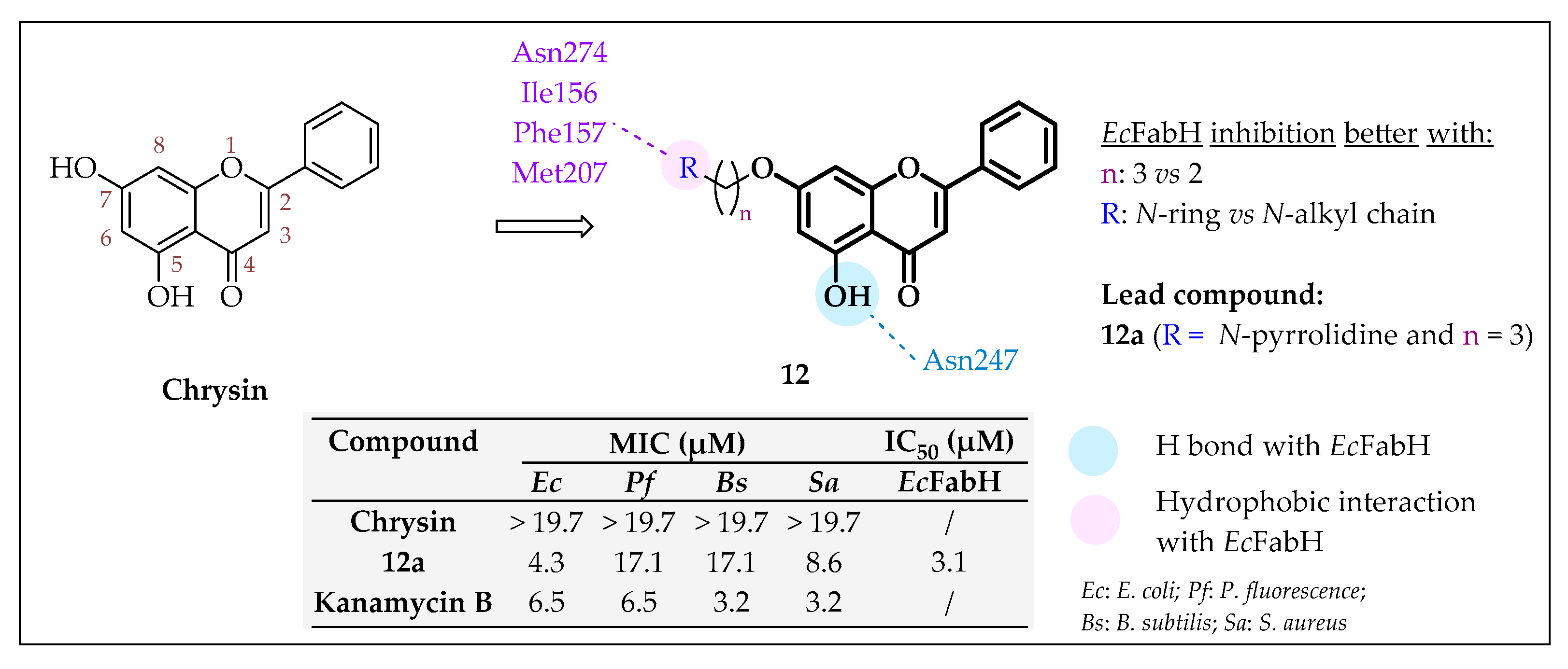Pharmaceuticals 16 00425 g012 Pharmaceuticals 16 00425 g012