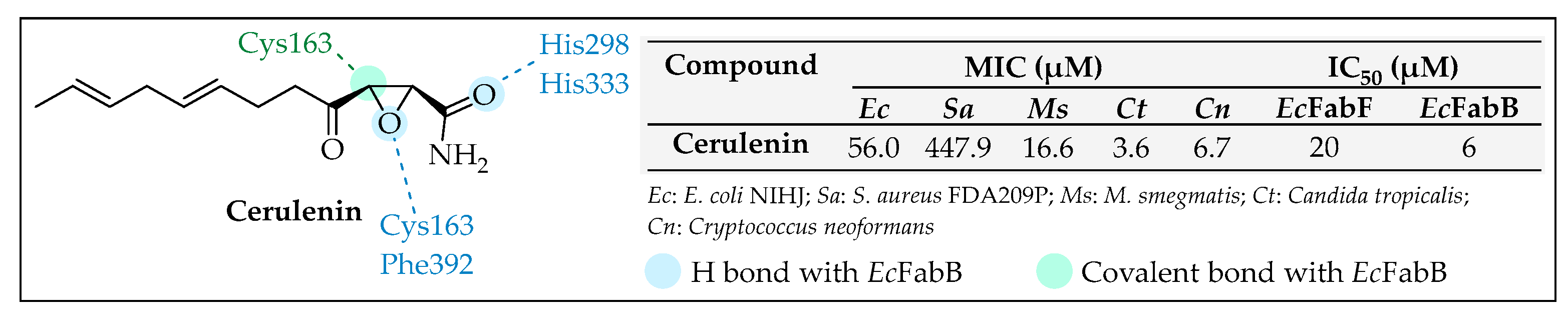 Pharmaceuticals 16 00425 g016 Pharmaceuticals 16 00425 g016