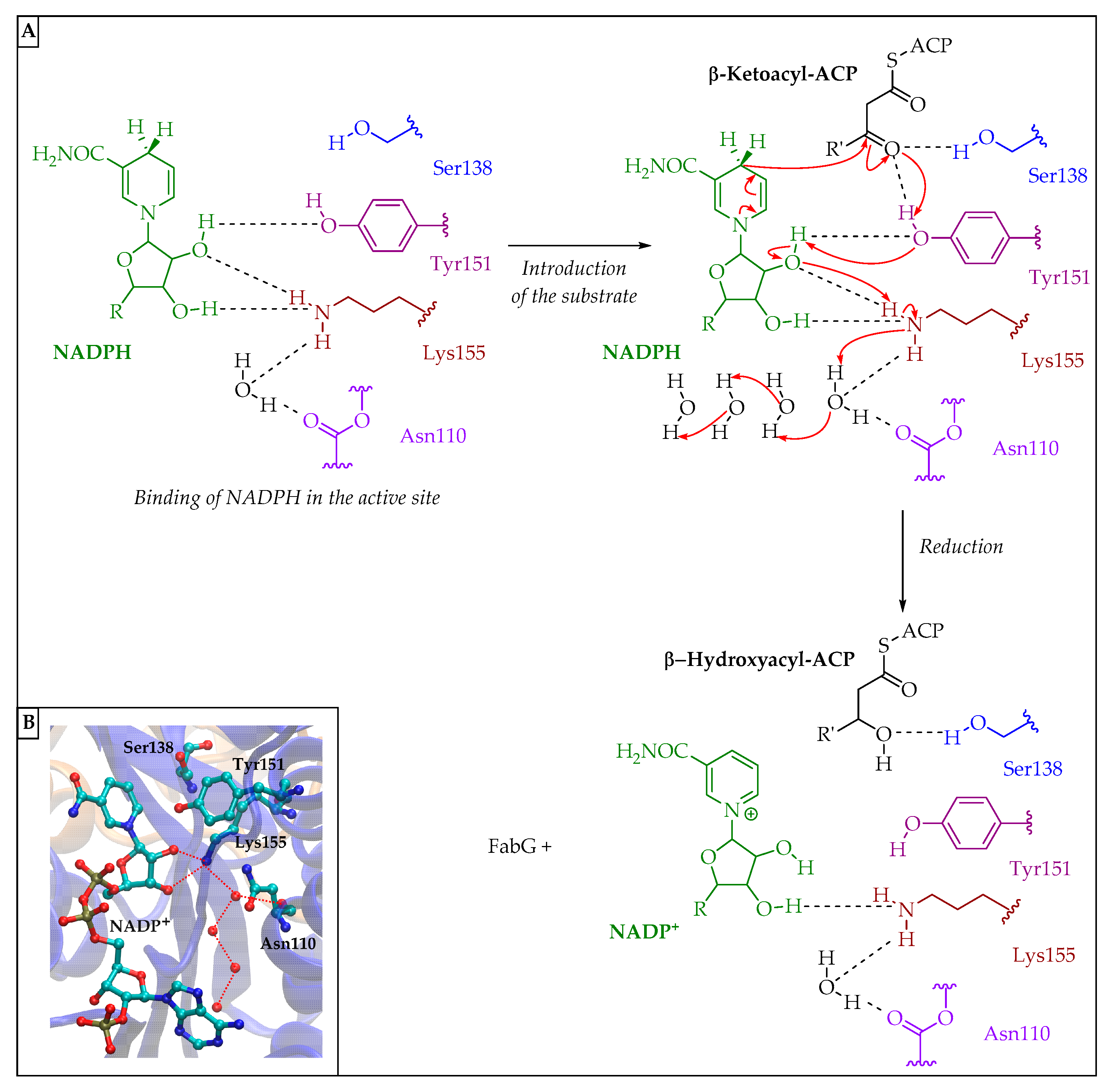 Pharmaceuticals 16 00425 g018 Pharmaceuticals 16 00425 g018