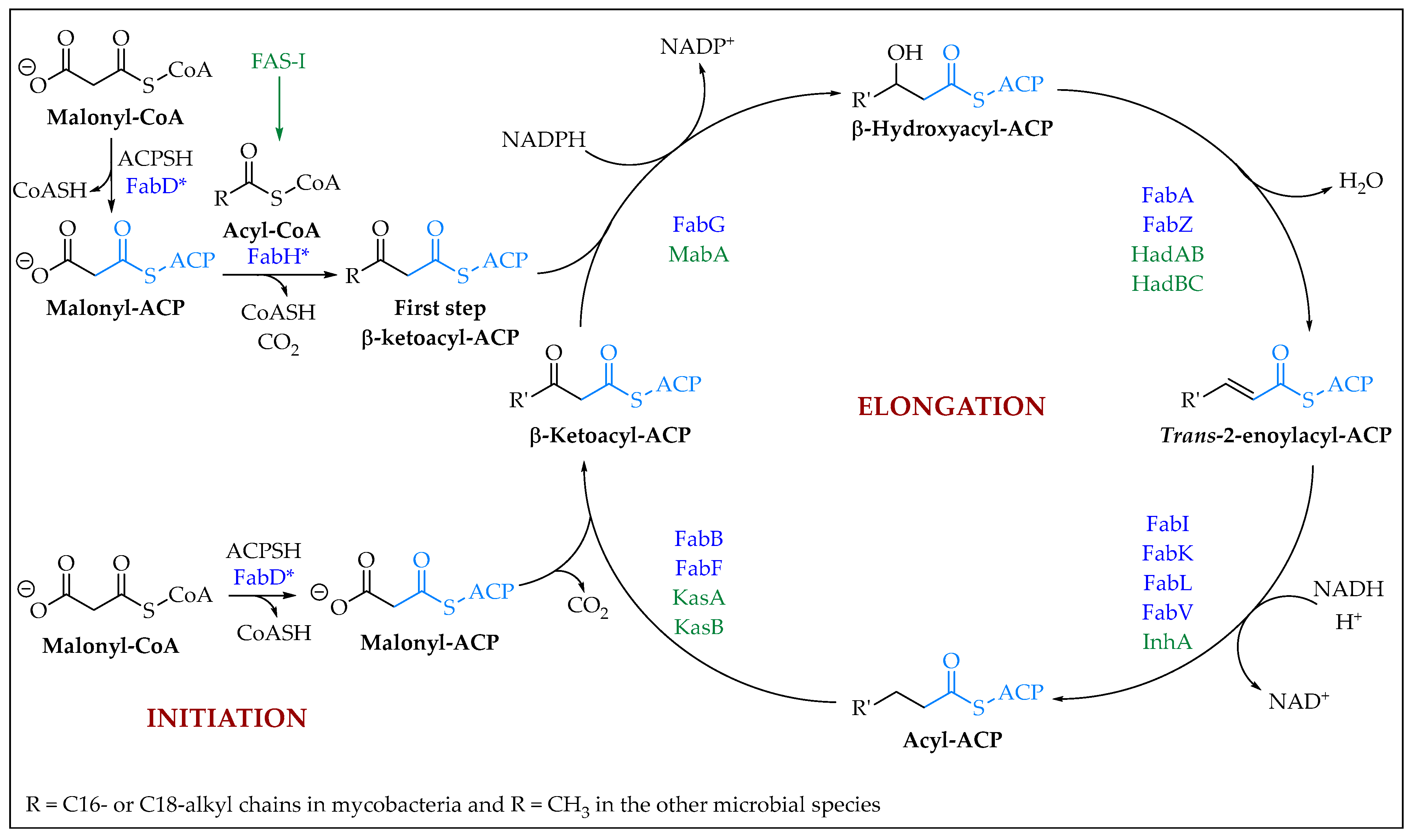 Pharmaceuticals 16 00425 sch001 Pharmaceuticals 16 00425 sch001
