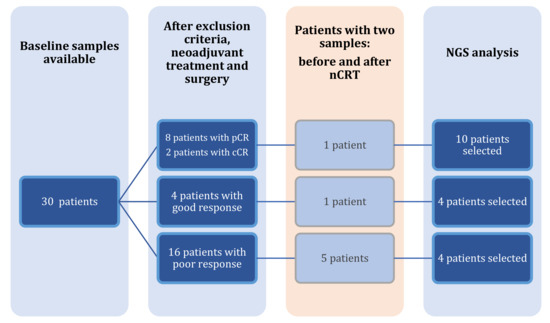 Pharmaceuticals Free Full Text Evaluation Of CtDNA In The pharmaceuticals-free-full-text-evaluation-of-ctdna-in-the