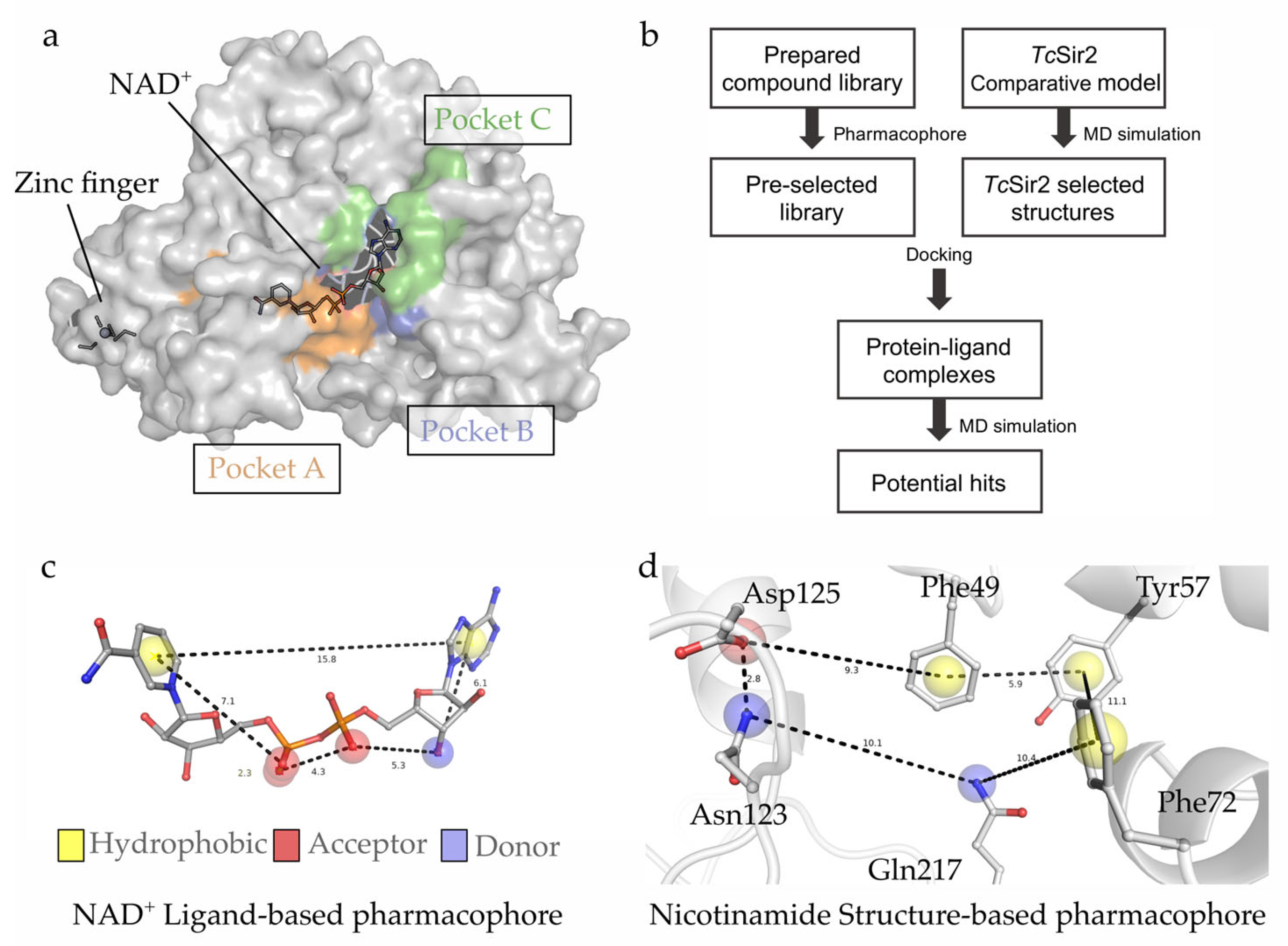 Pharmaceuticals 16 00428 g003 Pharmaceuticals 16 00428 g003
