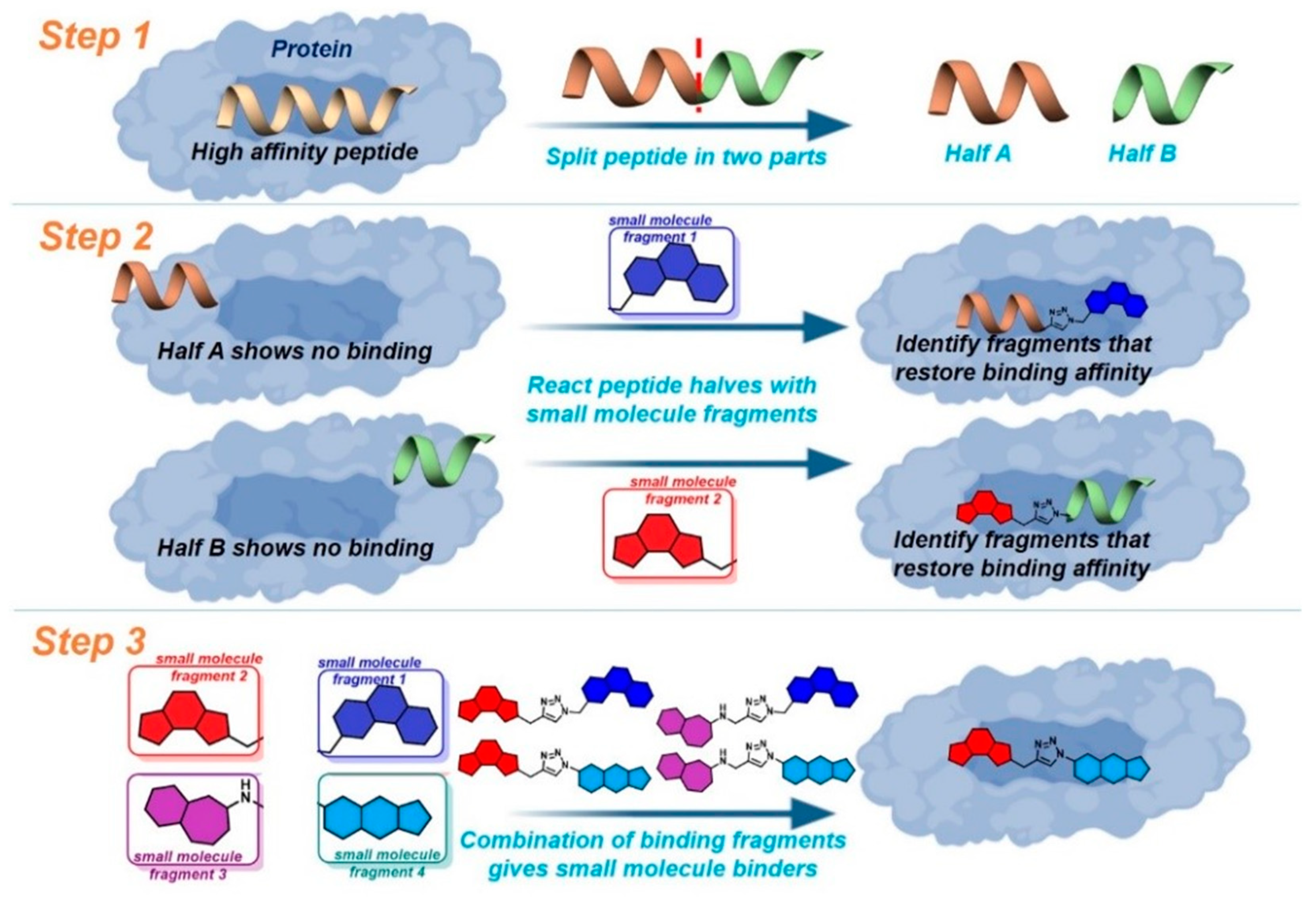 Pharmaceuticals 16 00432 g002 Pharmaceuticals 16 00432 g002