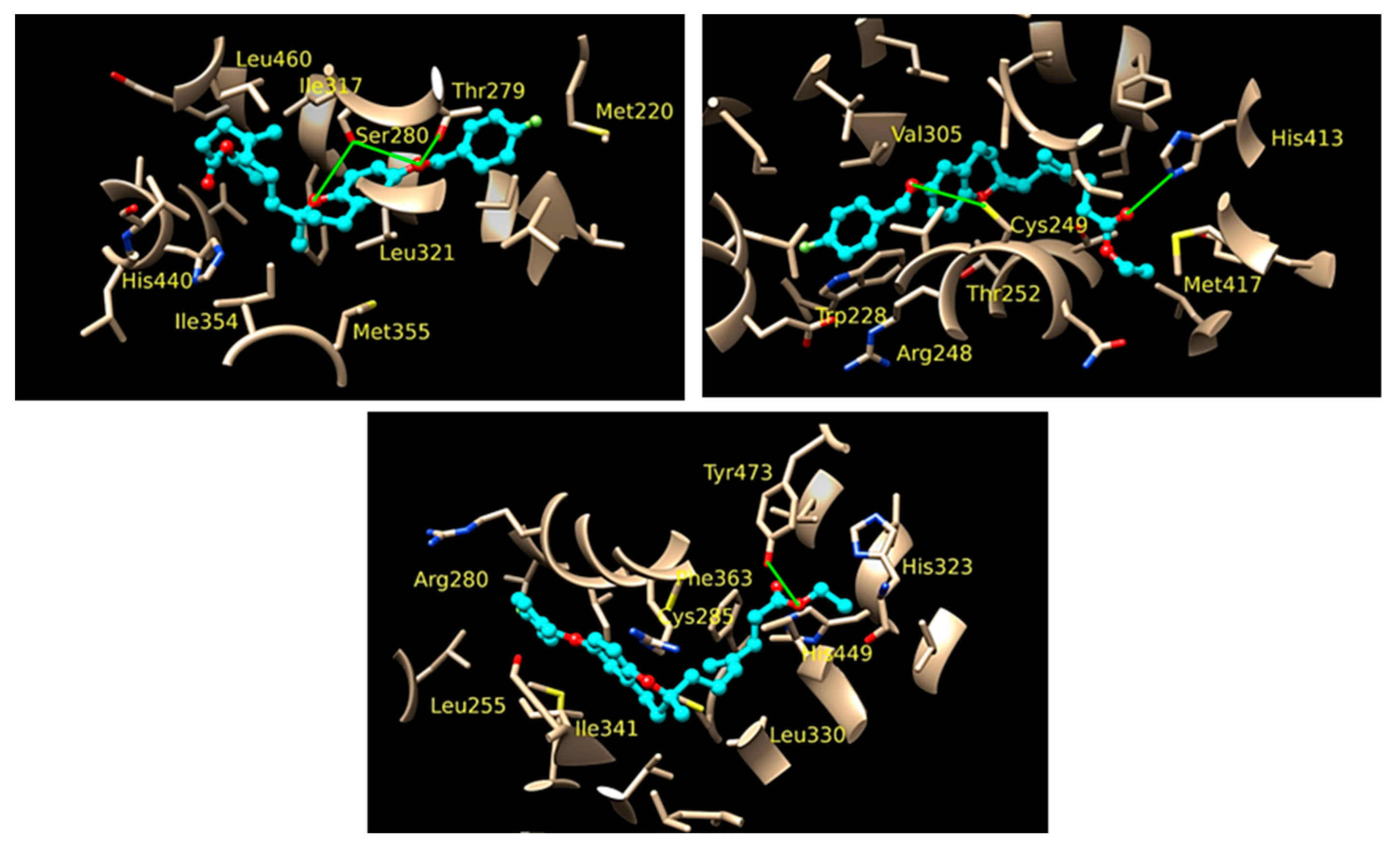 Pharmaceuticals 16 00432 g006 Pharmaceuticals 16 00432 g006