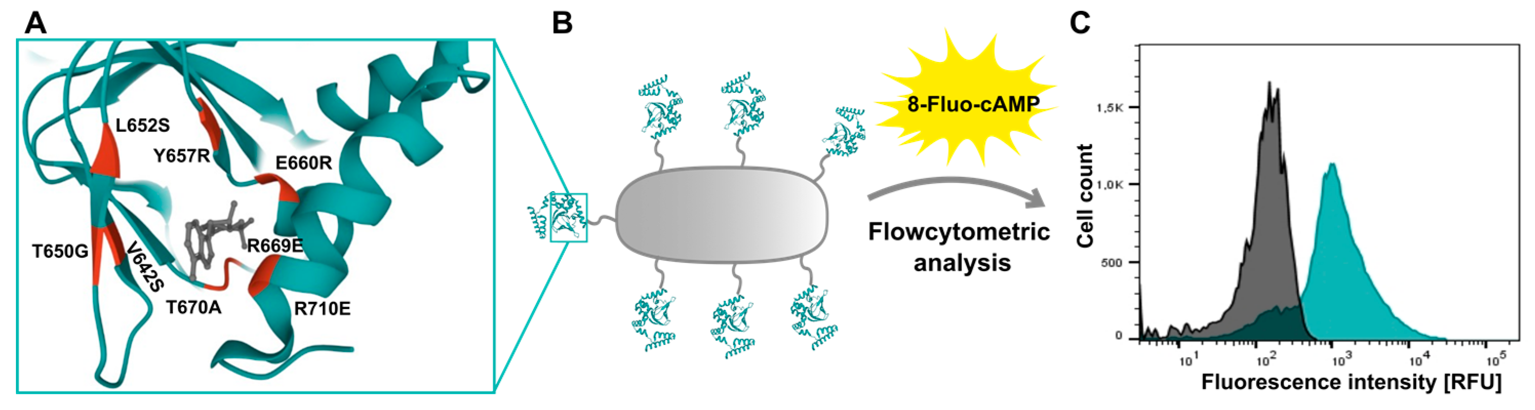 Pharmaceuticals 16 00432 g010 Pharmaceuticals 16 00432 g010