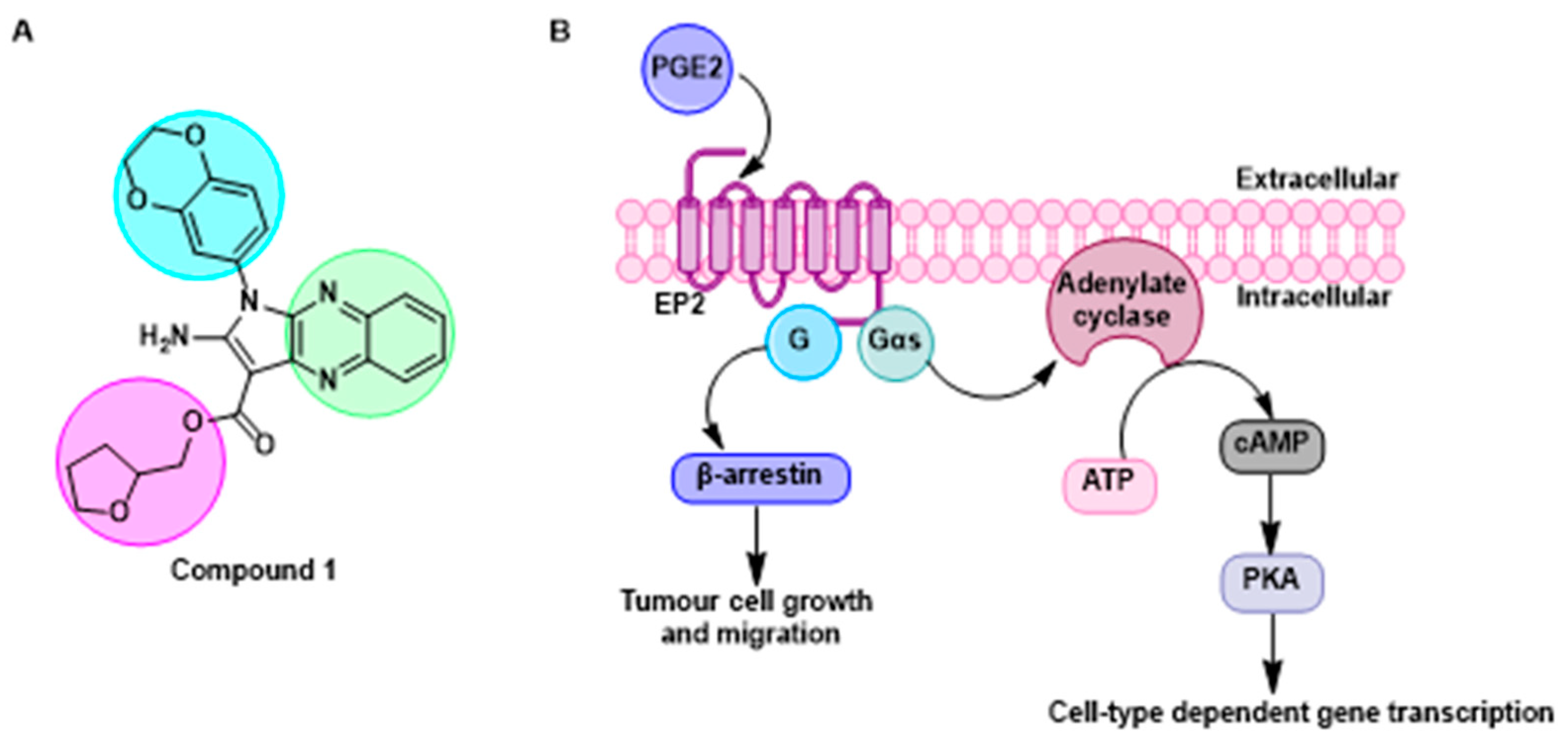 Pharmaceuticals 16 00432 g013 Pharmaceuticals 16 00432 g013