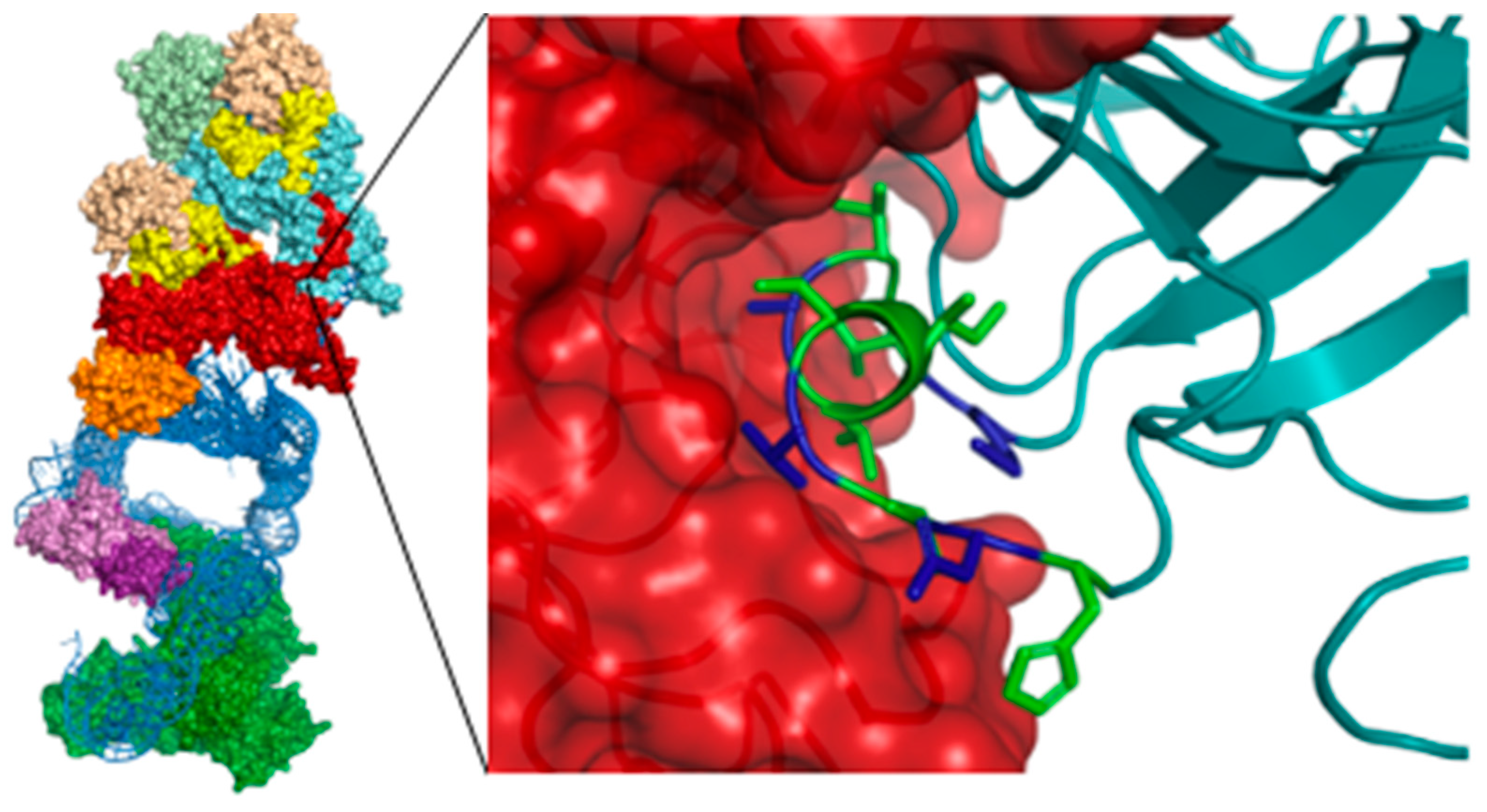 Pharmaceuticals 16 00432 g014 Pharmaceuticals 16 00432 g014