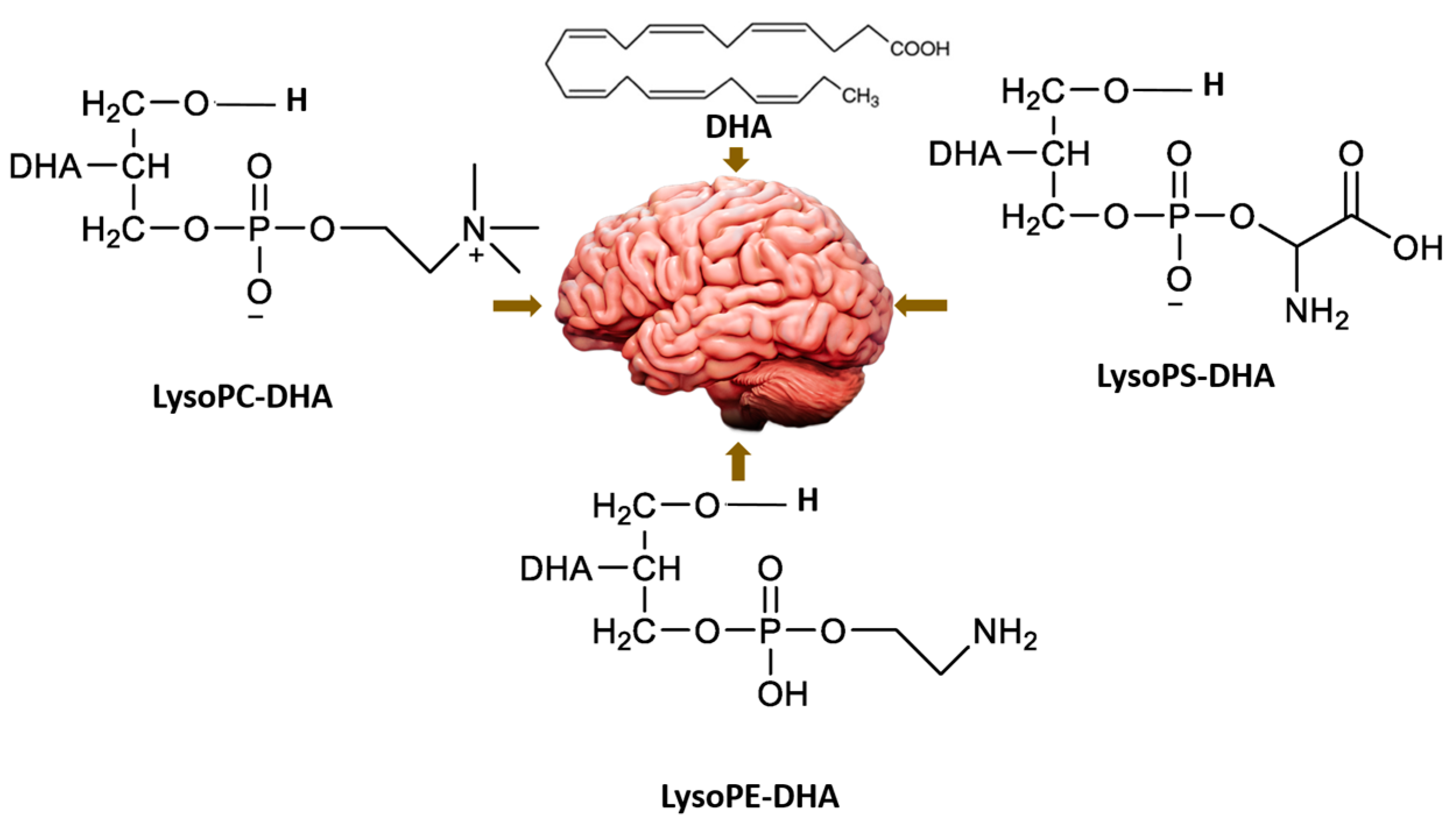 Pharmaceuticals 16 00432 g018 Pharmaceuticals 16 00432 g018