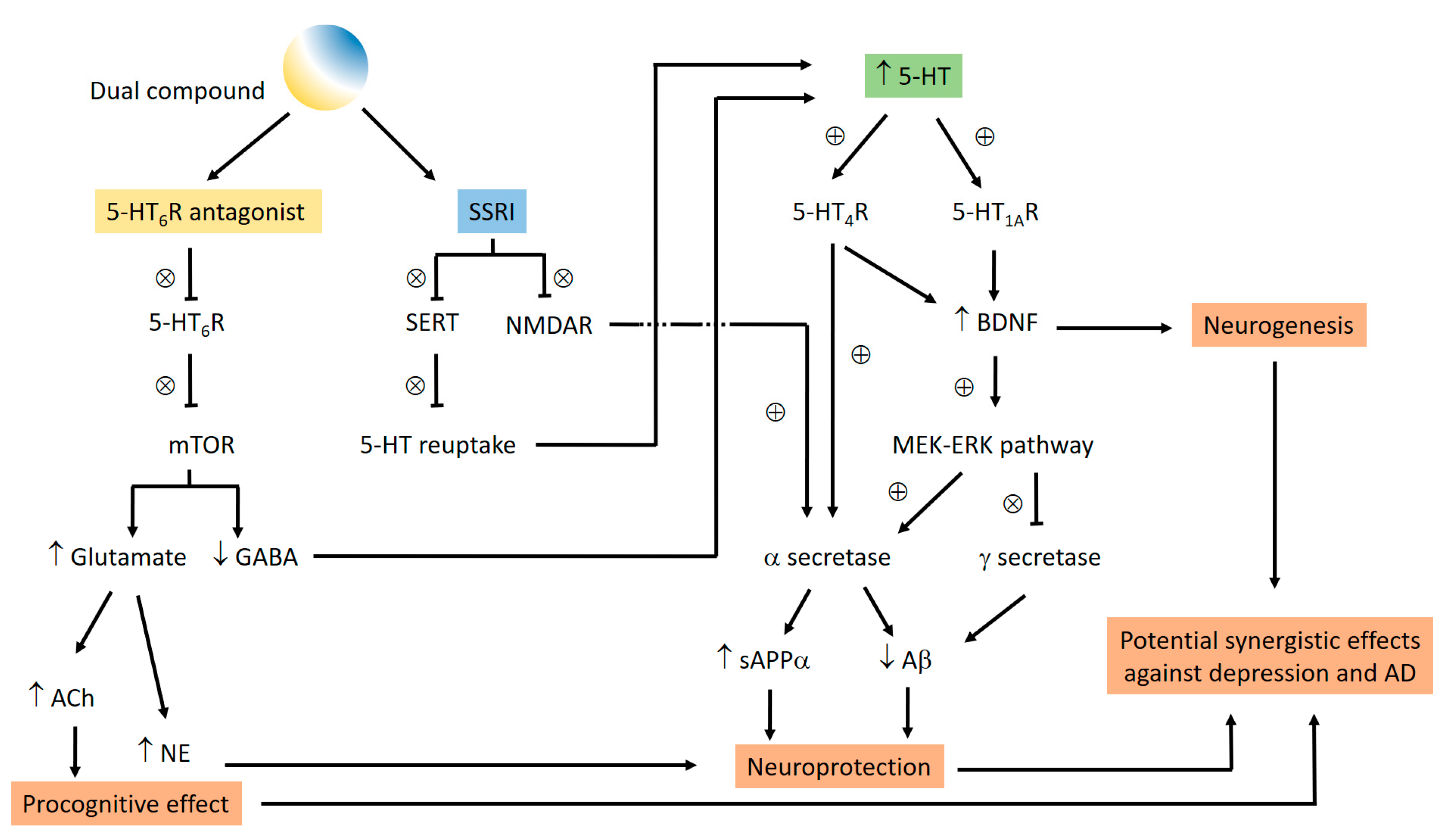 Pharmaceuticals 16 00432 g019 Pharmaceuticals 16 00432 g019