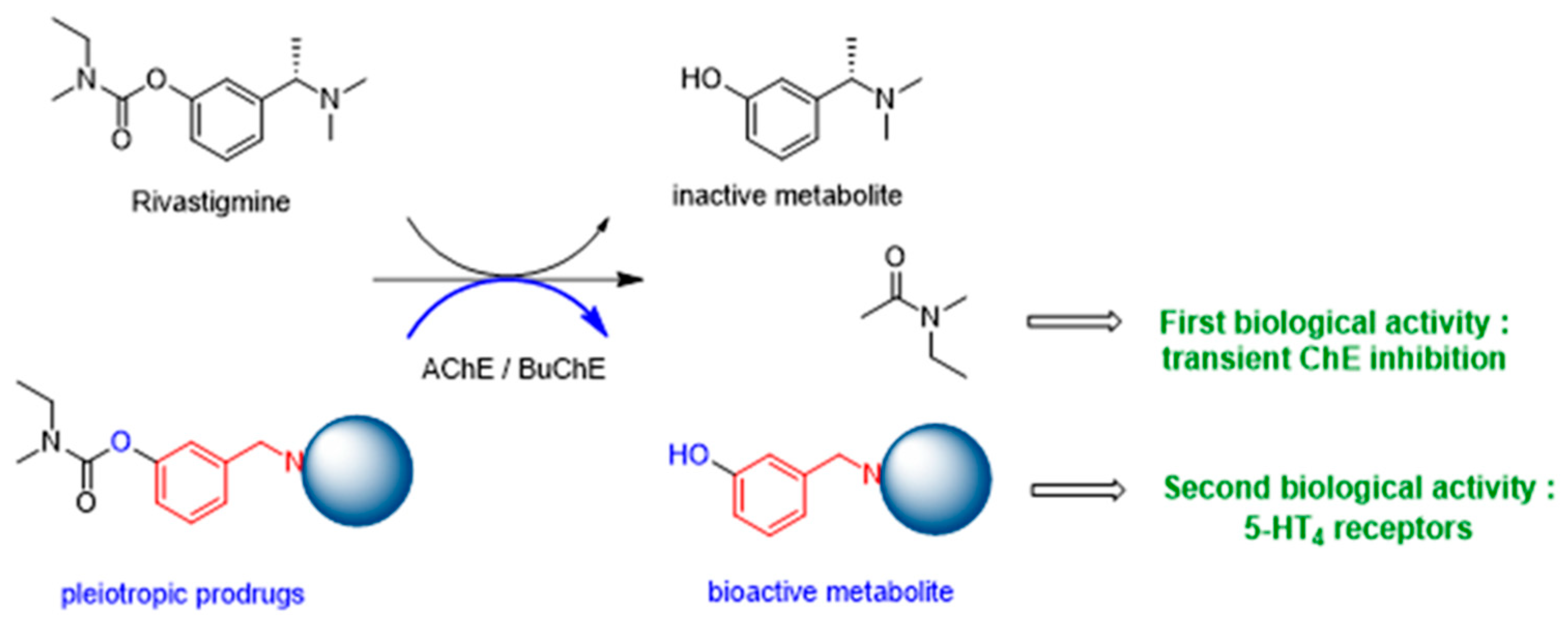 Pharmaceuticals 16 00432 g020 Pharmaceuticals 16 00432 g020