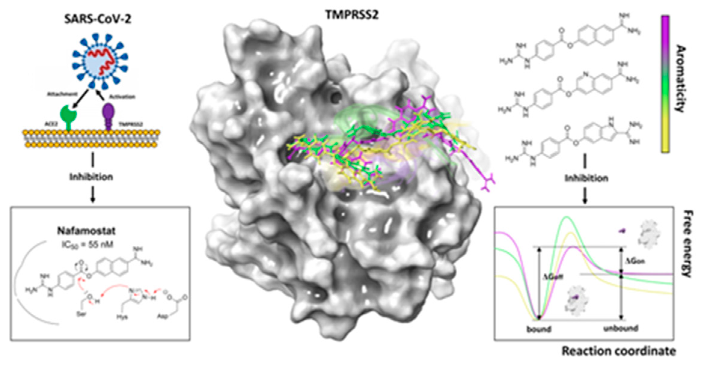 Pharmaceuticals 16 00432 g023 Pharmaceuticals 16 00432 g023