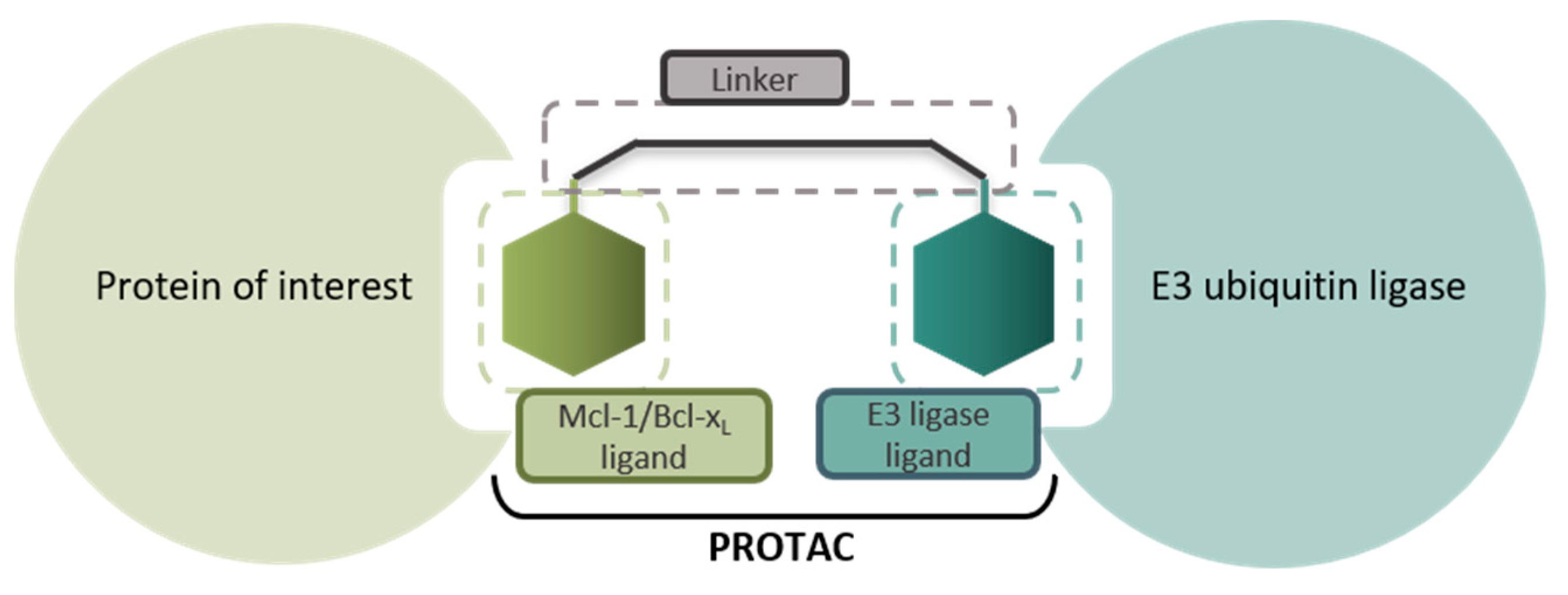 Pharmaceuticals 16 00432 g028 Pharmaceuticals 16 00432 g028