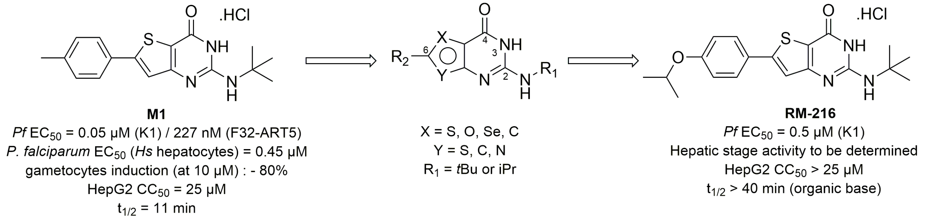 Pharmaceuticals 16 00432 g035 Pharmaceuticals 16 00432 g035
