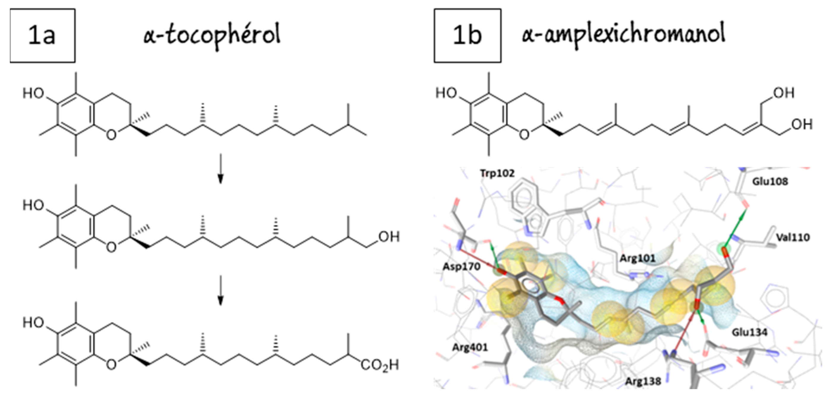 Pharmaceuticals 16 00432 g043 Pharmaceuticals 16 00432 g043