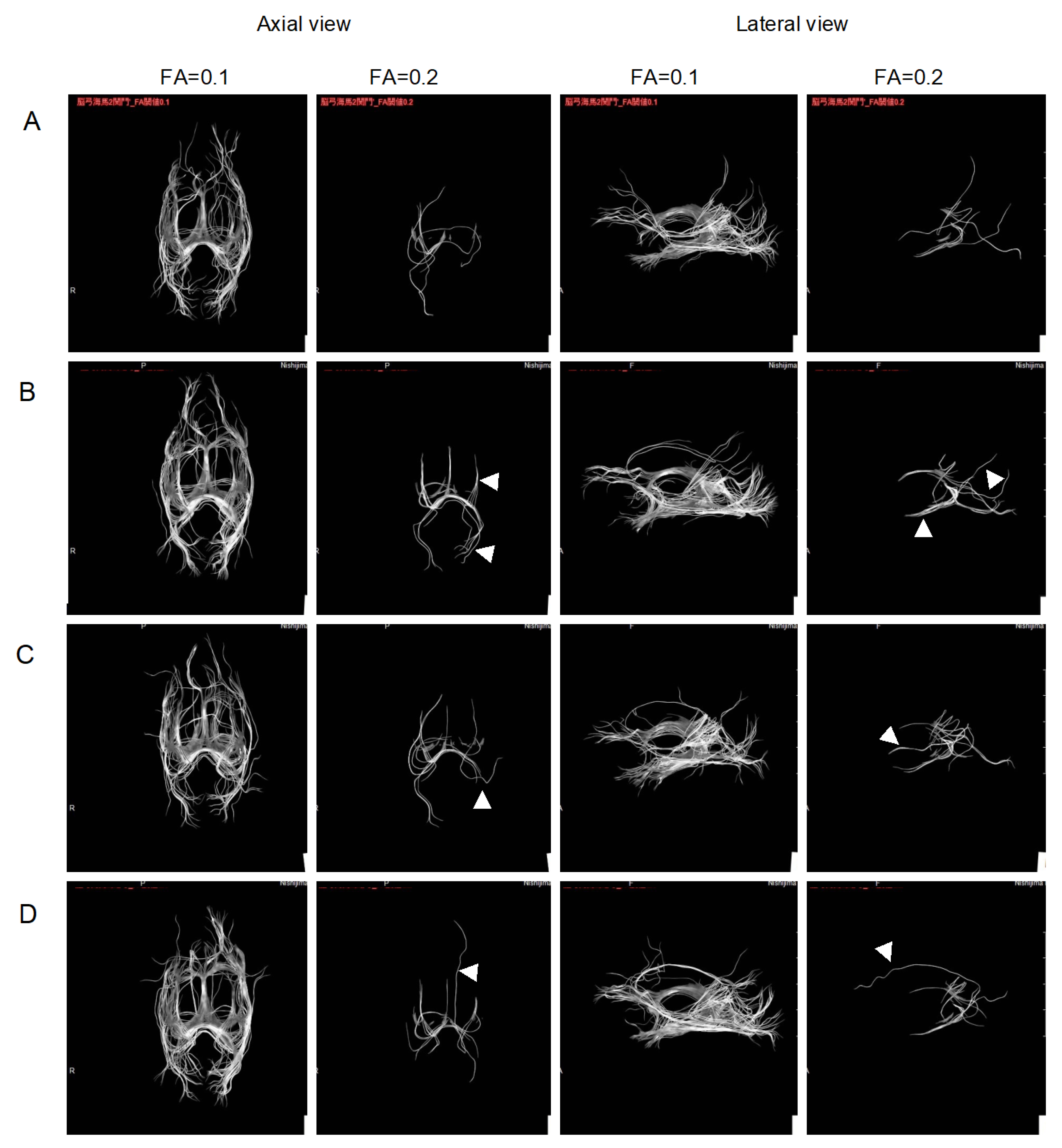 Pharmaceuticals 16 00434 g003b Pharmaceuticals 16 00434 g003b