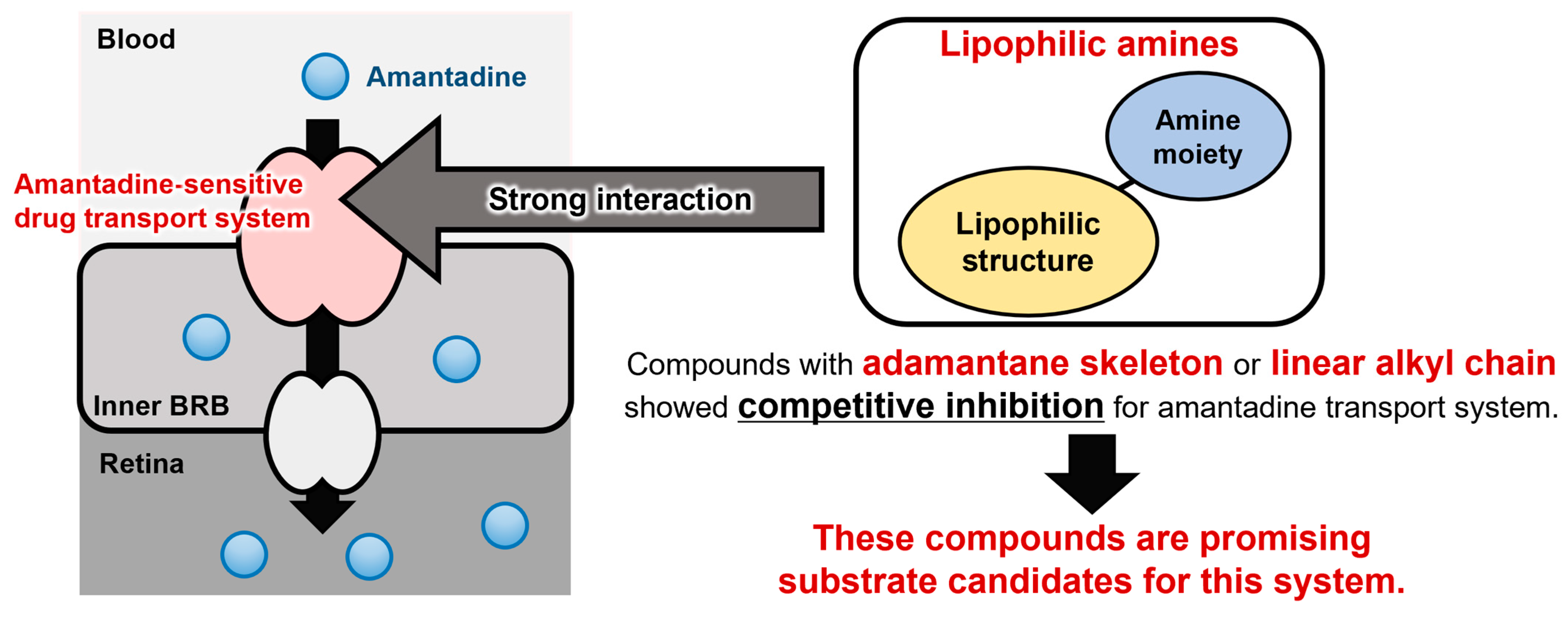 Pharmaceuticals Free FullText The Structural Characteristics of