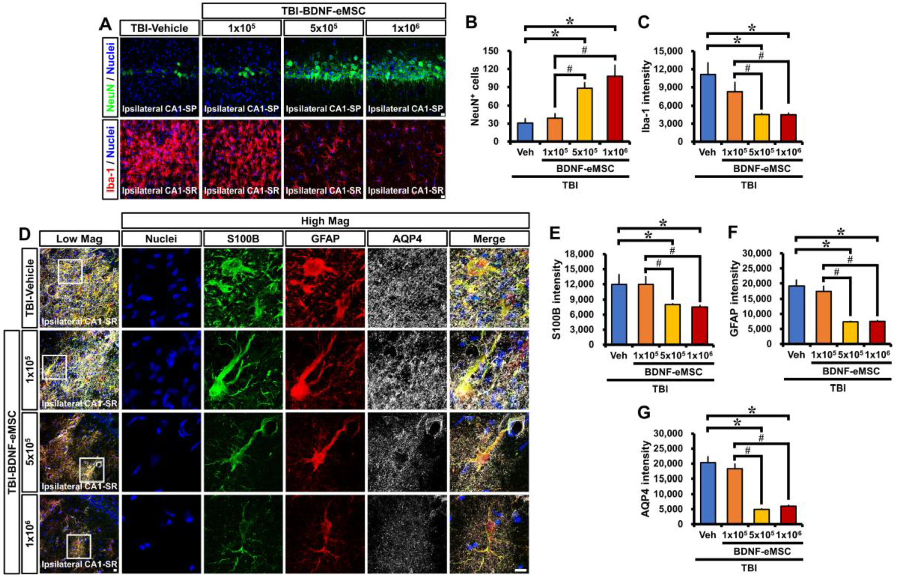 Pharmaceuticals 16 00436 g004