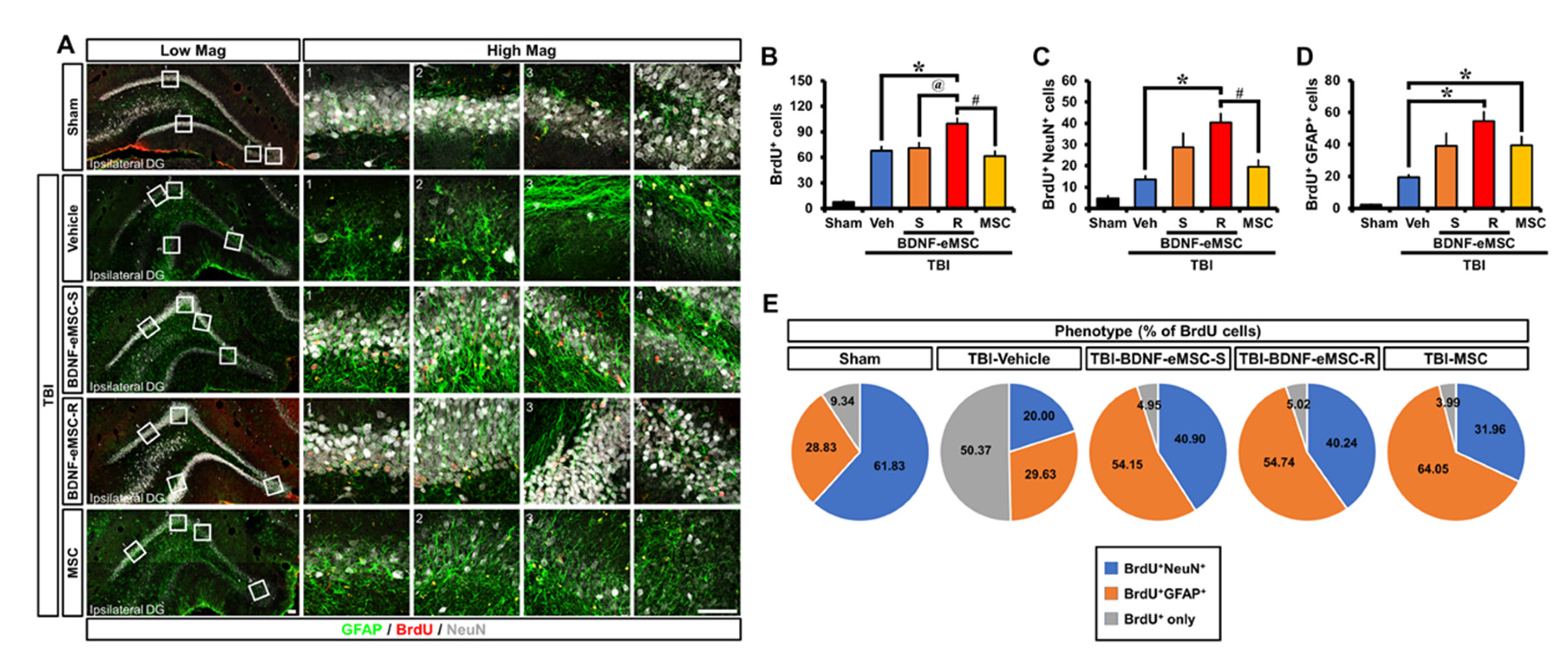 Pharmaceuticals 16 00436 g006