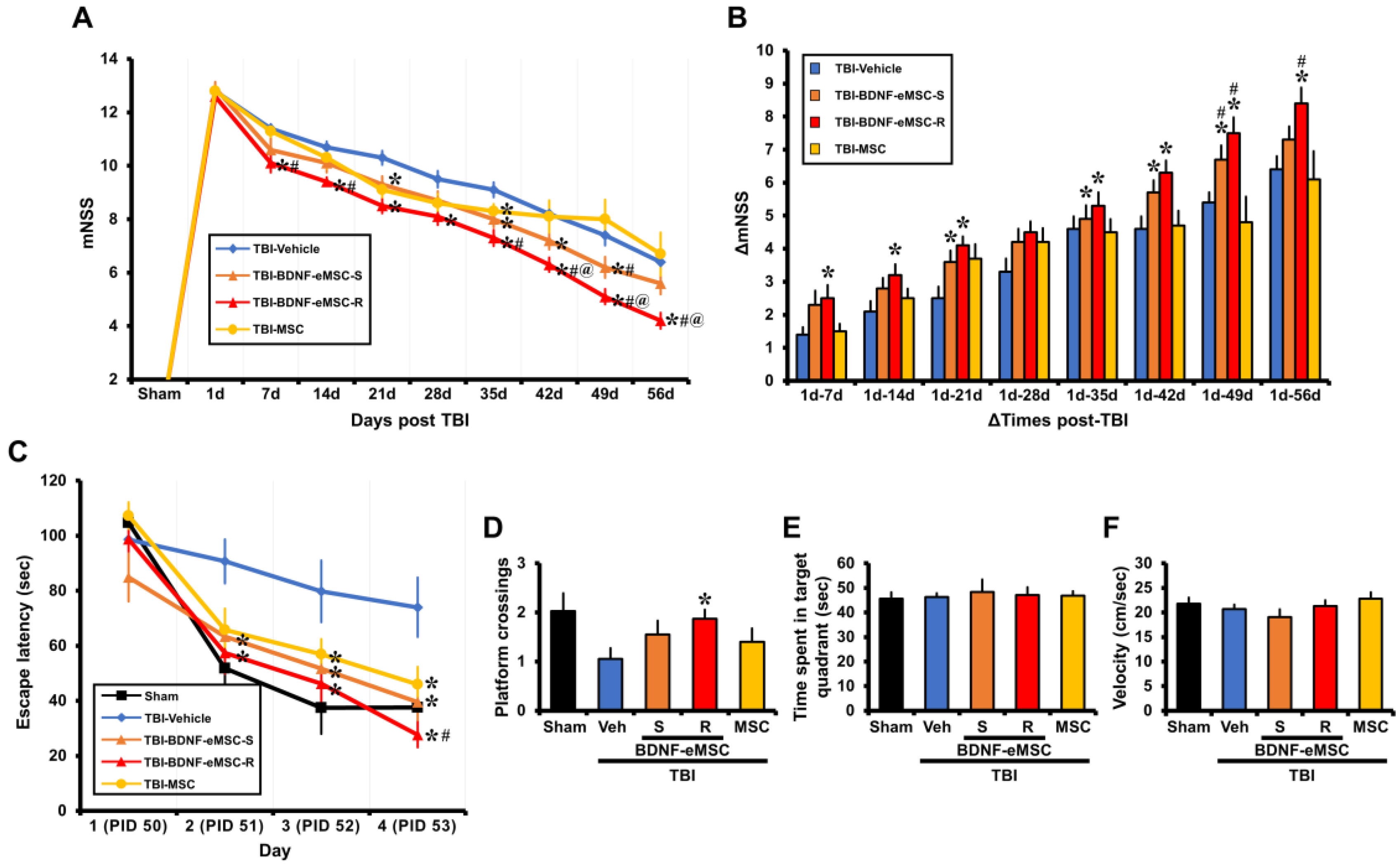 Pharmaceuticals 16 00436 g007