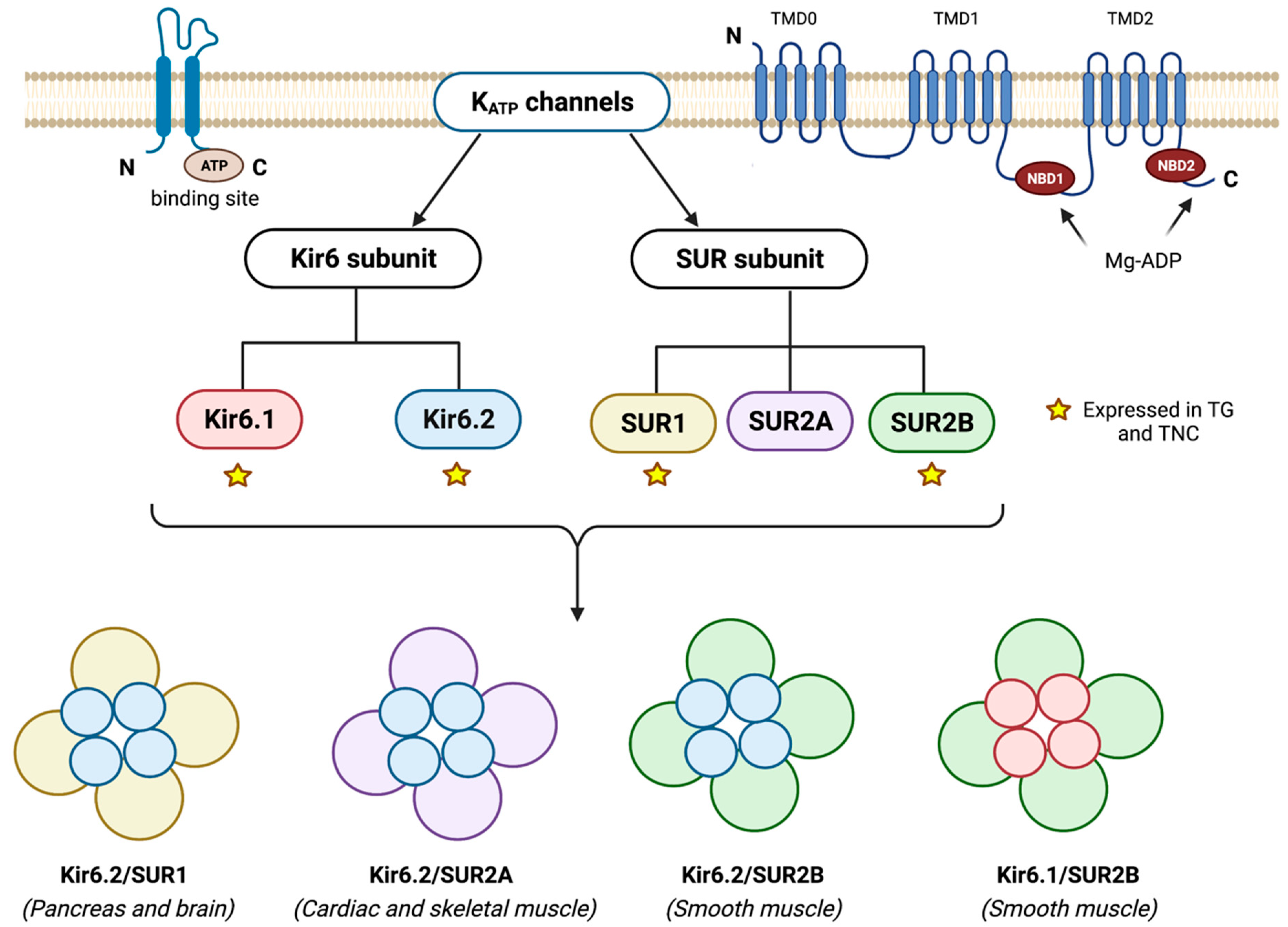 Pharmaceuticals 16 00438 g002
